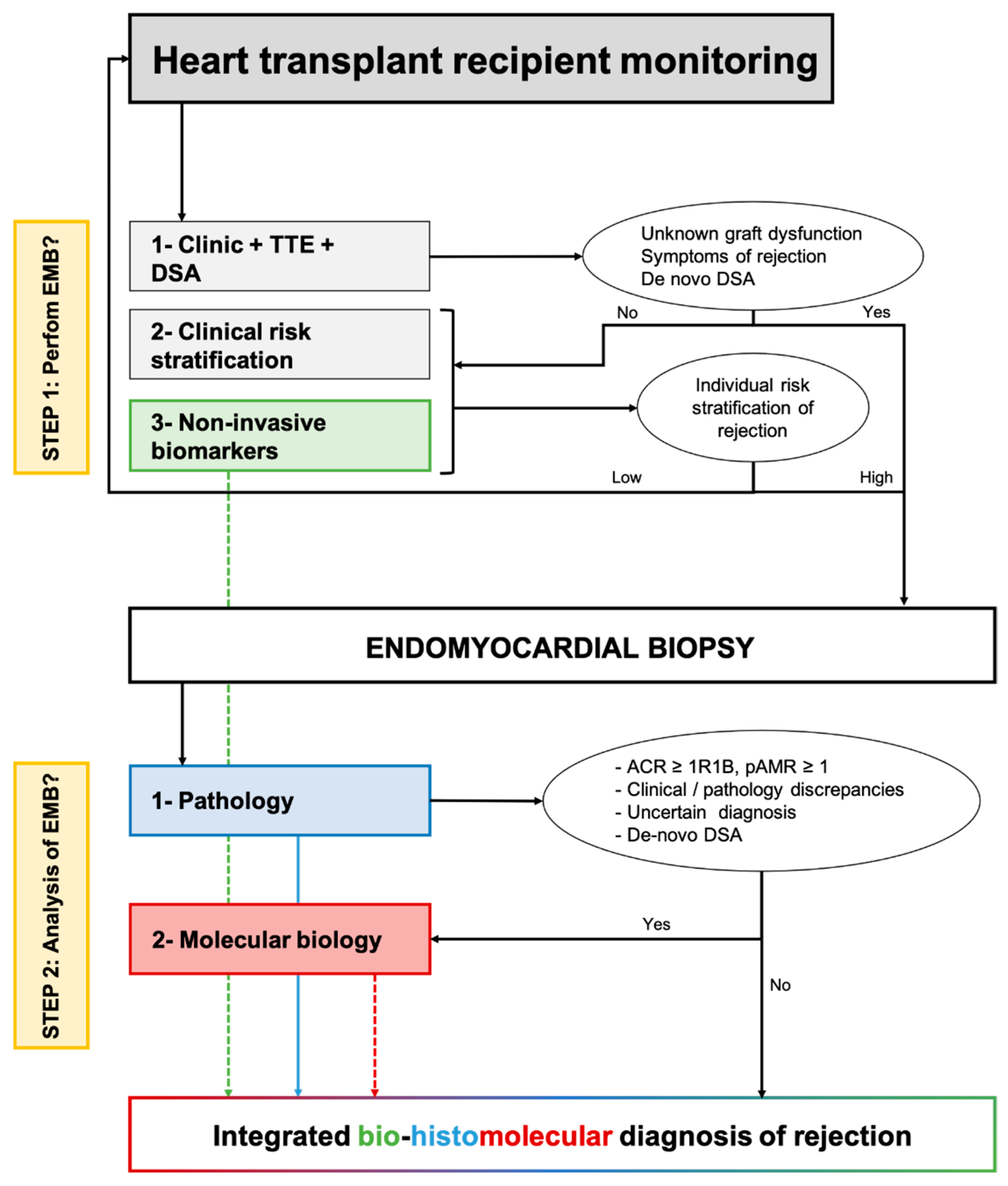 Biomolecules 12 01135 g003