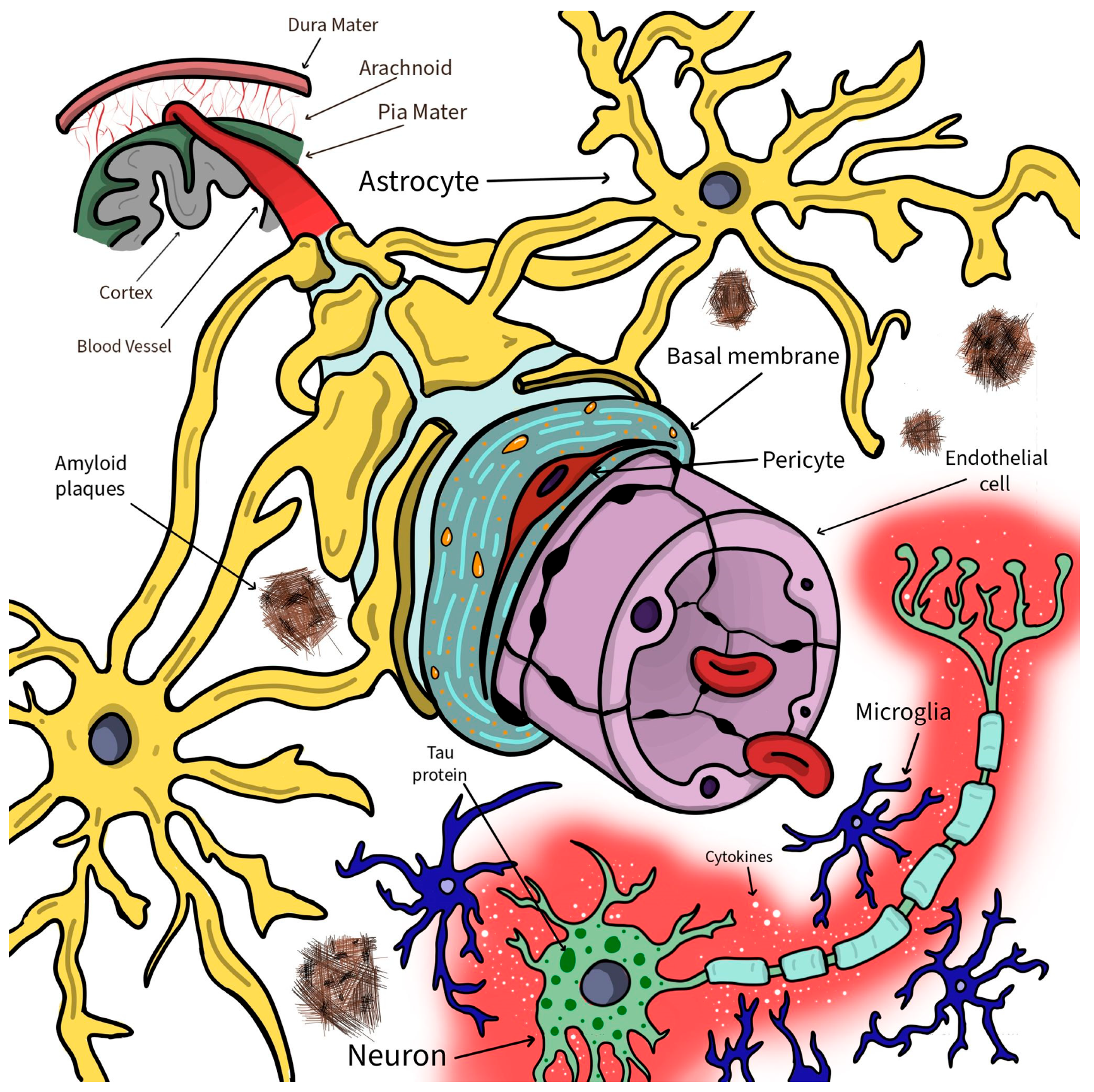 Biomolecules 12 01136 g002 Biomolecules 12 01136 g002