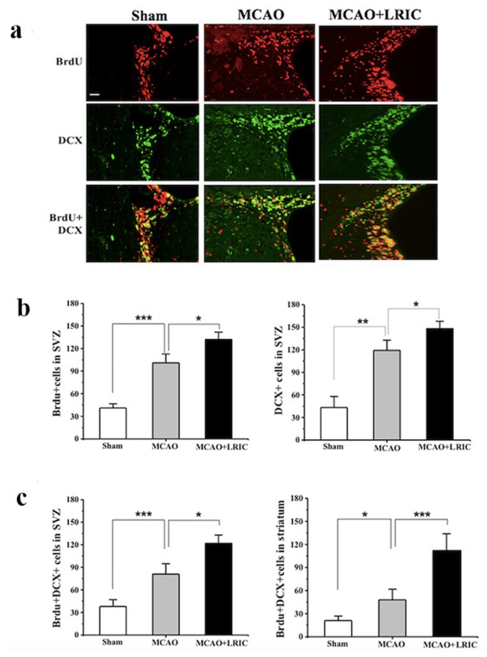 Biomolecules 12 01137 g003 550