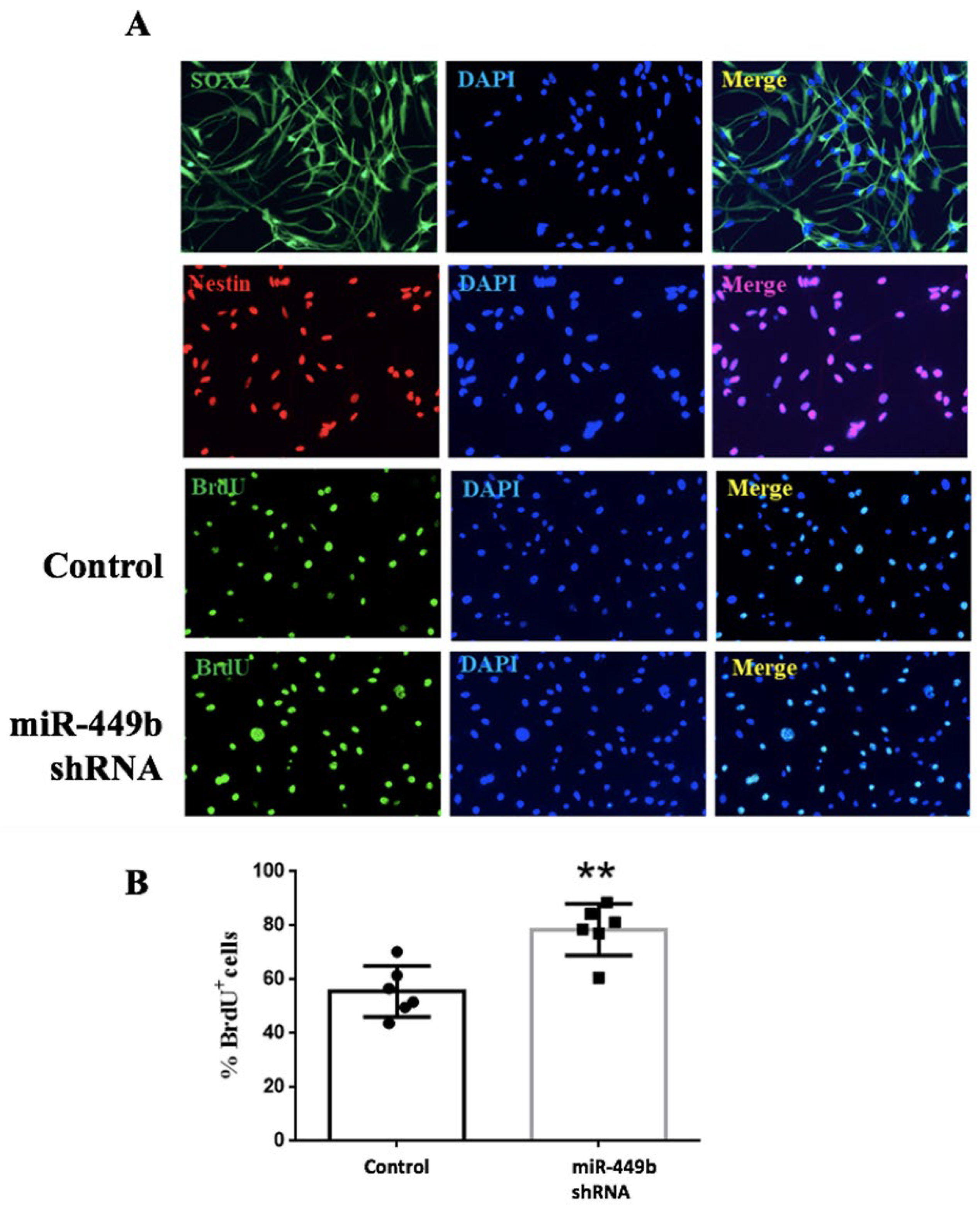 Biomolecules 12 01137 g007 550