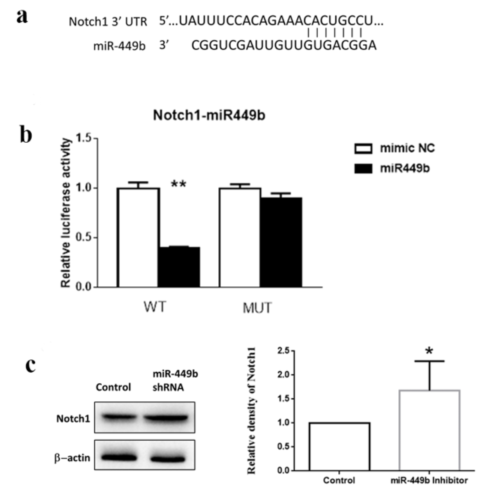 Biomolecules 12 01137 g008 550