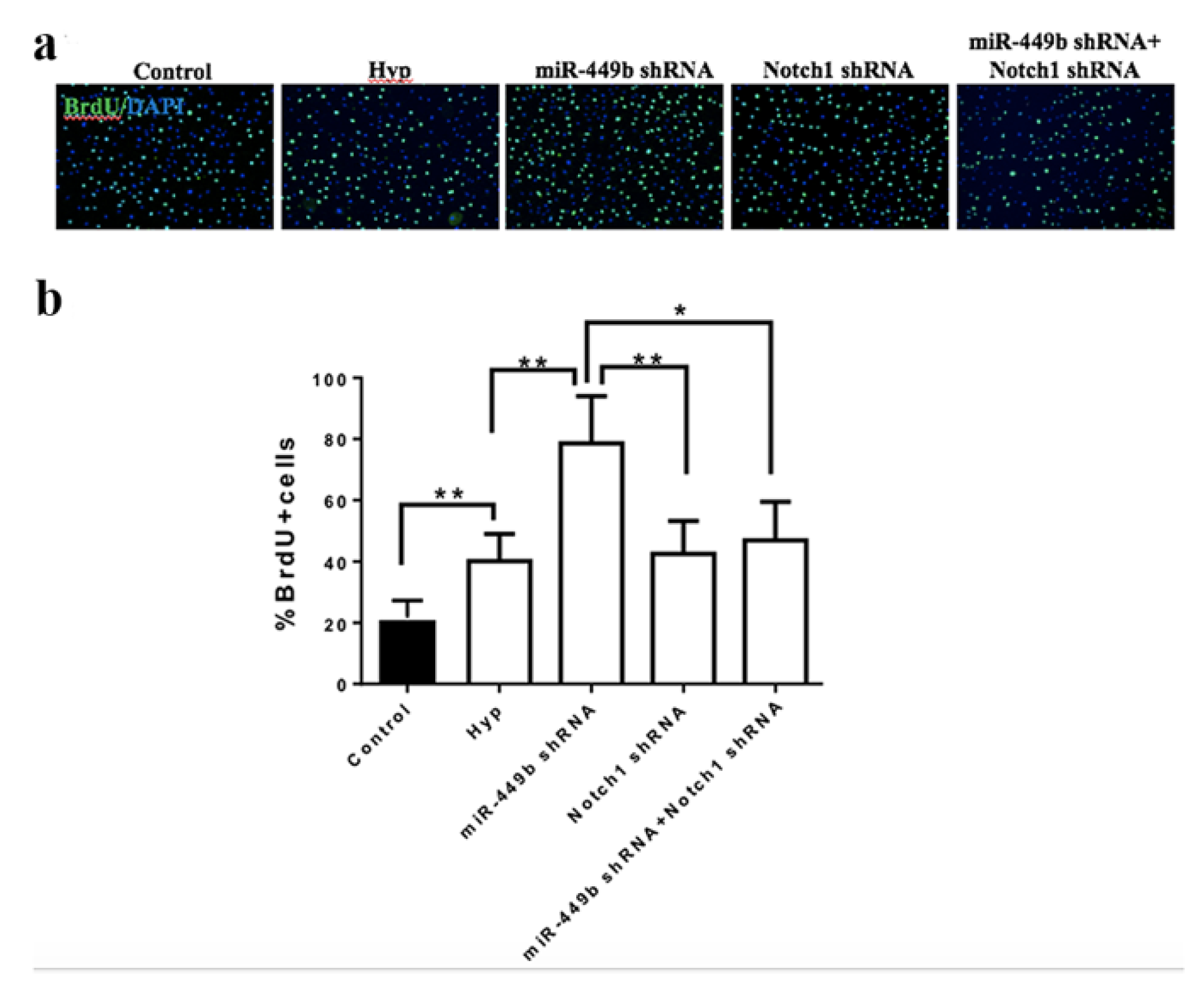 Biomolecules 12 01137 g009 550