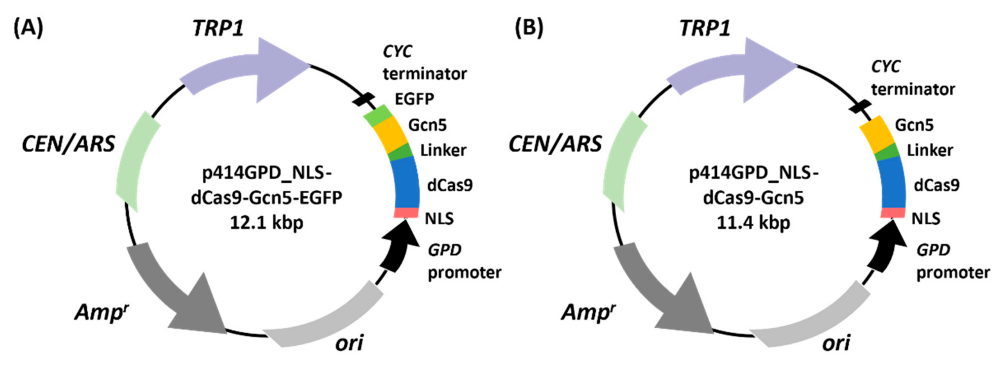 Biomolecules 12 01138 g001 550