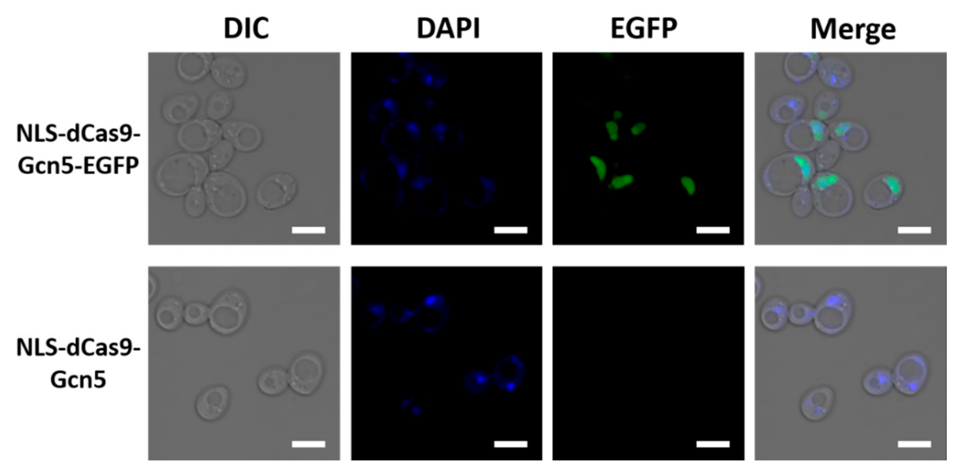 Biomolecules 12 01138 g002 550