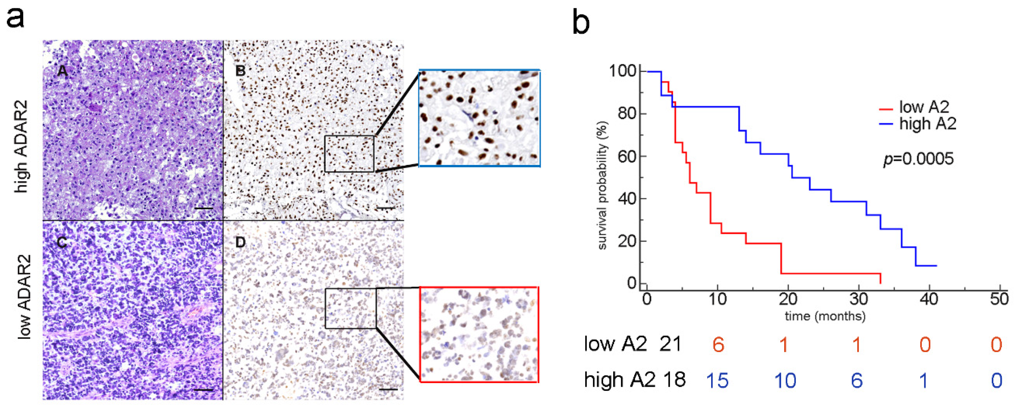 Biomolecules 12 01142 g001 Biomolecules 12 01142 g001