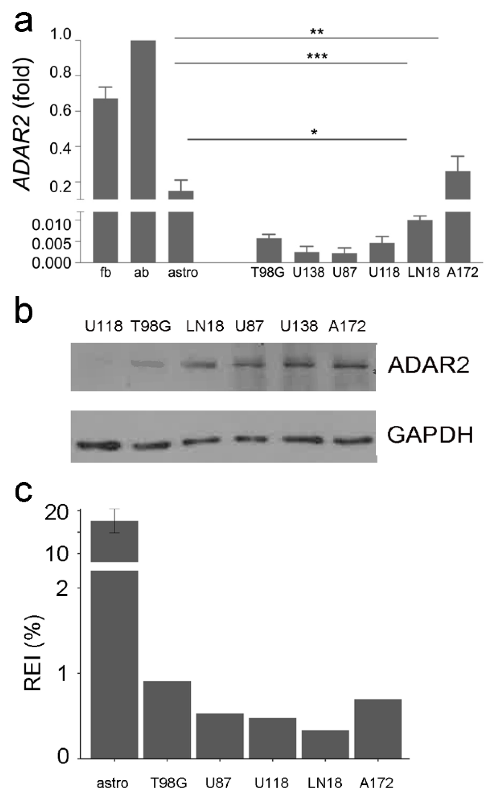 Biomolecules 12 01142 g002 Biomolecules 12 01142 g002