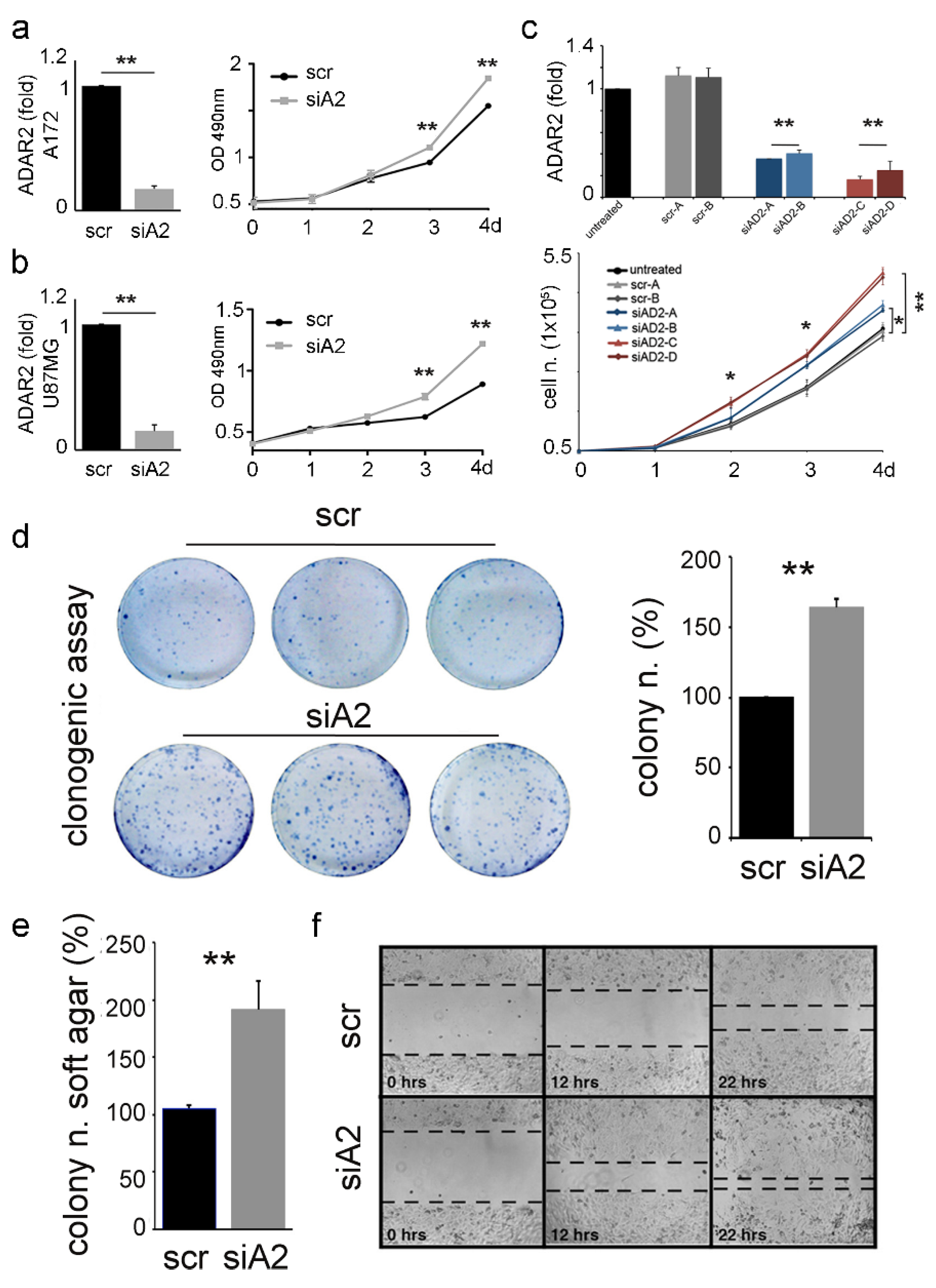 Biomolecules 12 01142 g003 Biomolecules 12 01142 g003