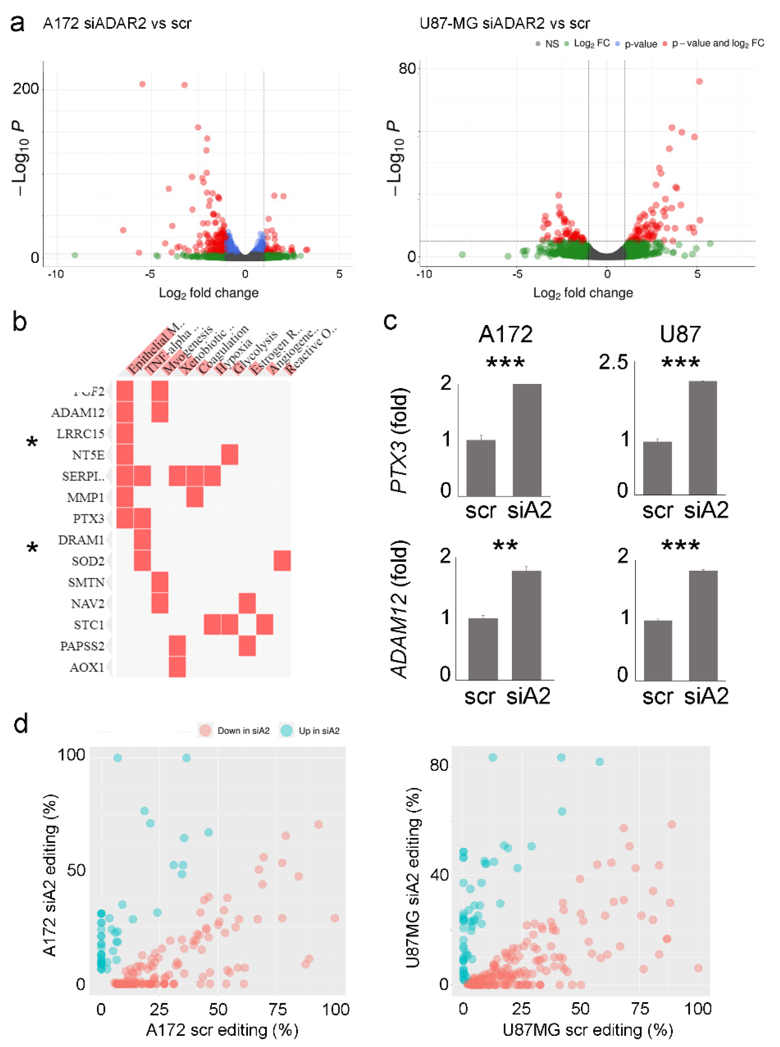 Biomolecules 12 01142 g004 Biomolecules 12 01142 g004