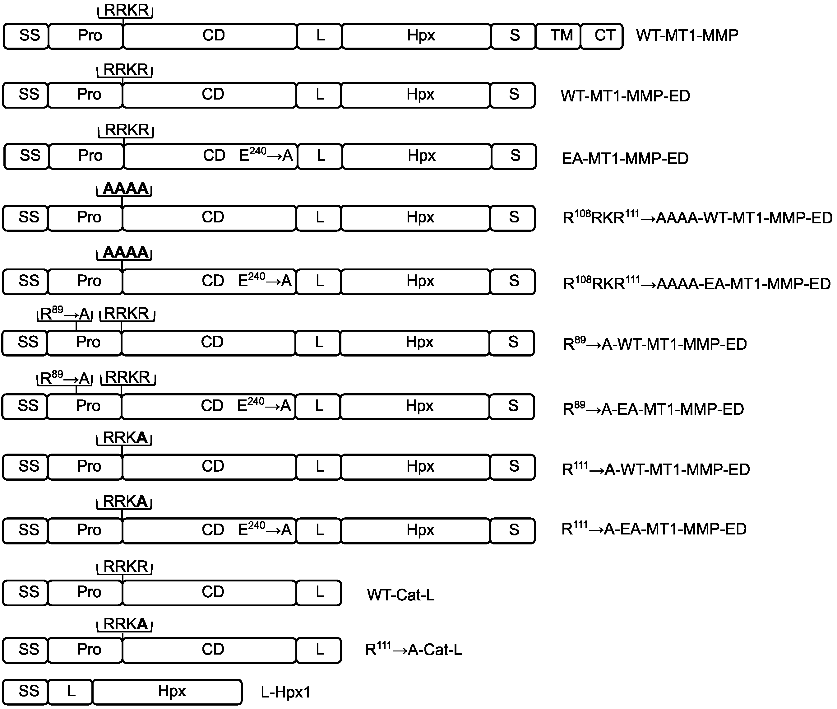 Biomolecules 12 01145 g001 Biomolecules 12 01145 g001