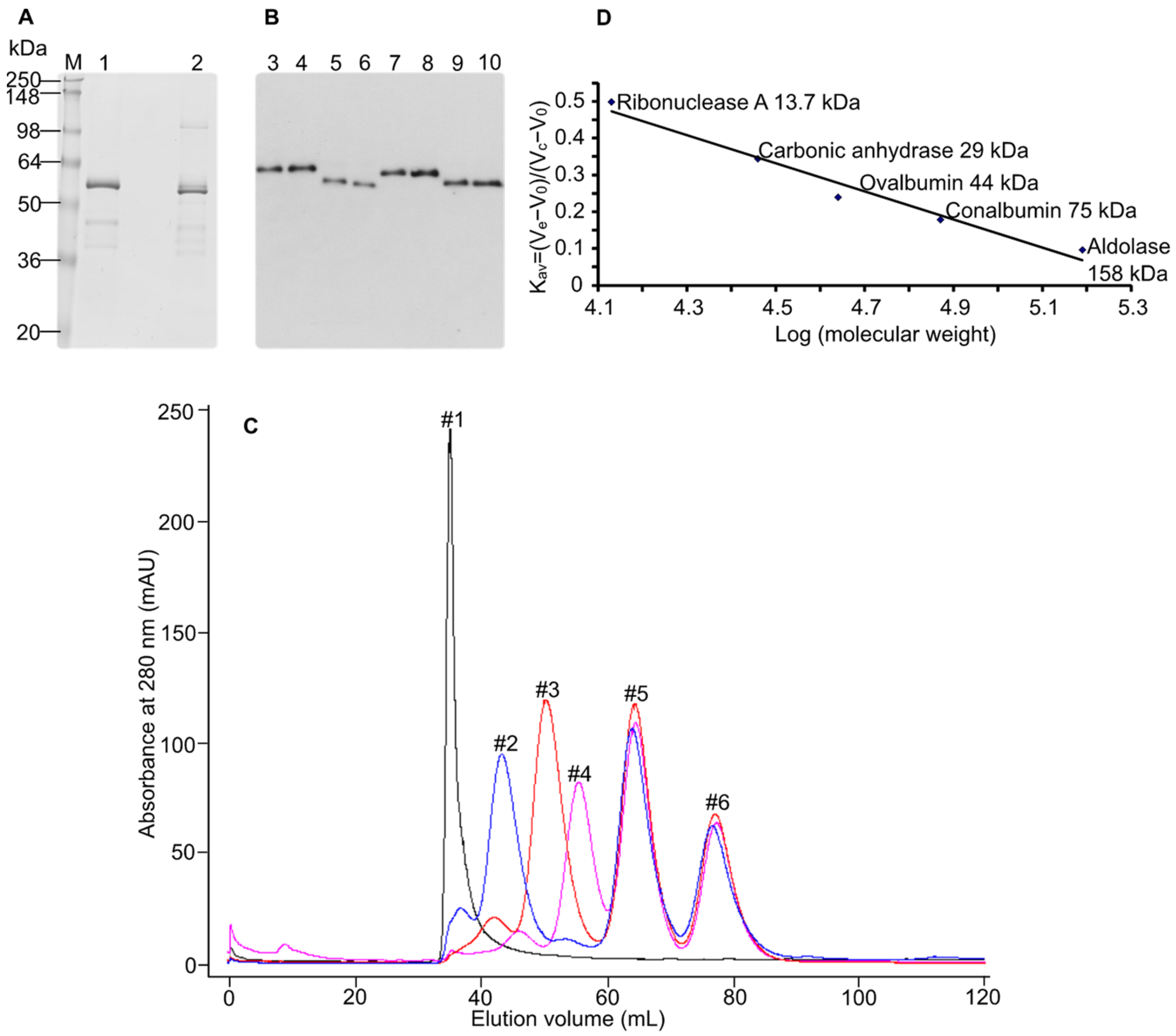 Biomolecules 12 01145 g002 Biomolecules 12 01145 g002