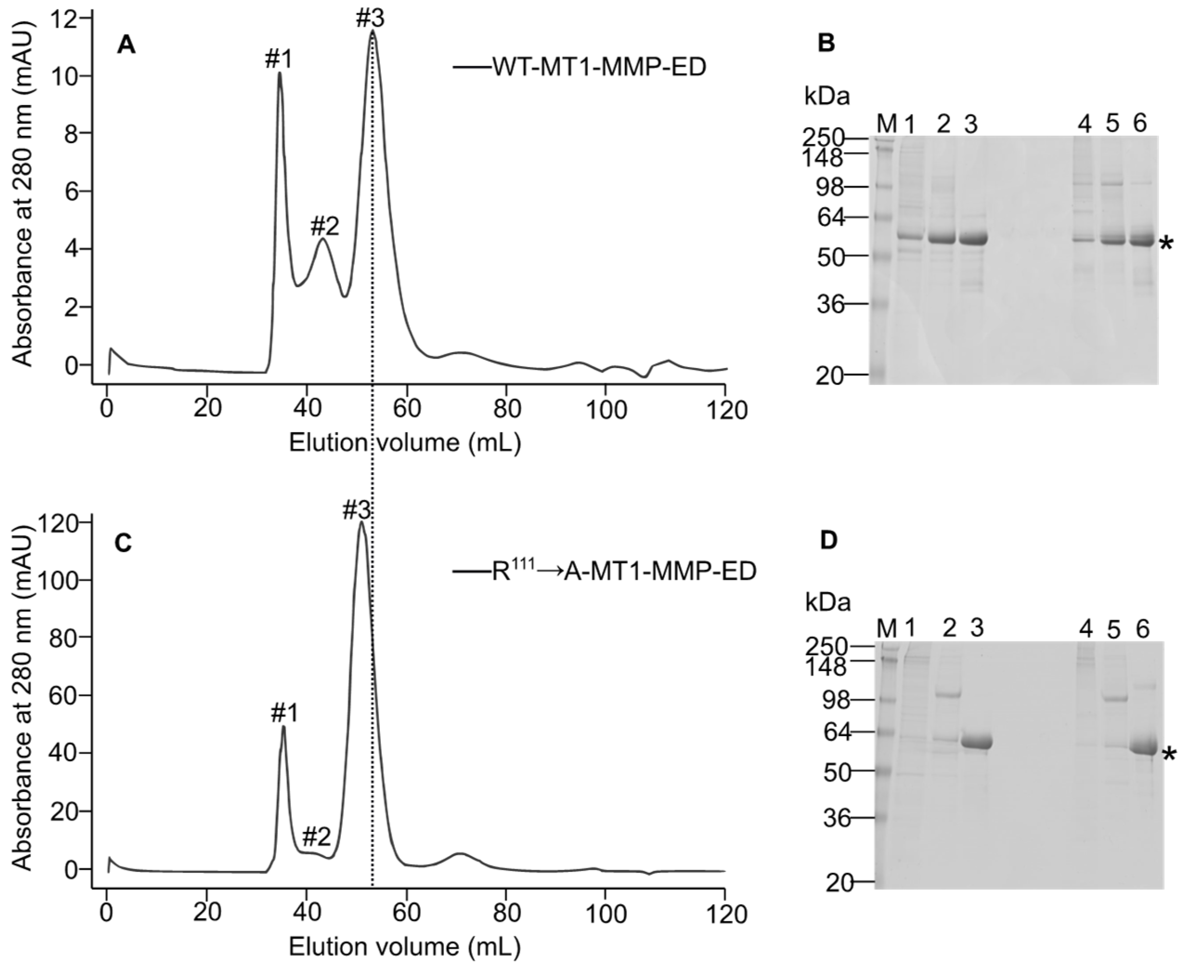 Biomolecules 12 01145 g003 Biomolecules 12 01145 g003