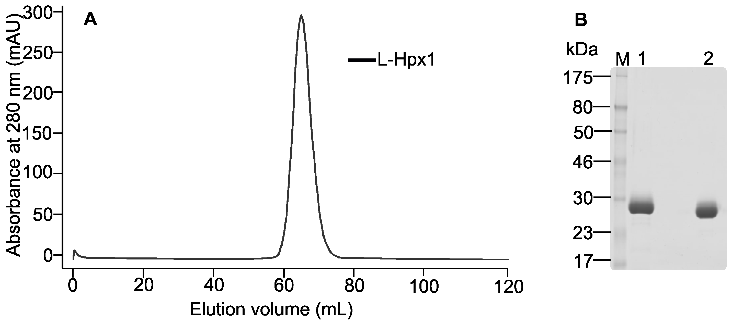 Biomolecules 12 01145 g005 Biomolecules 12 01145 g005