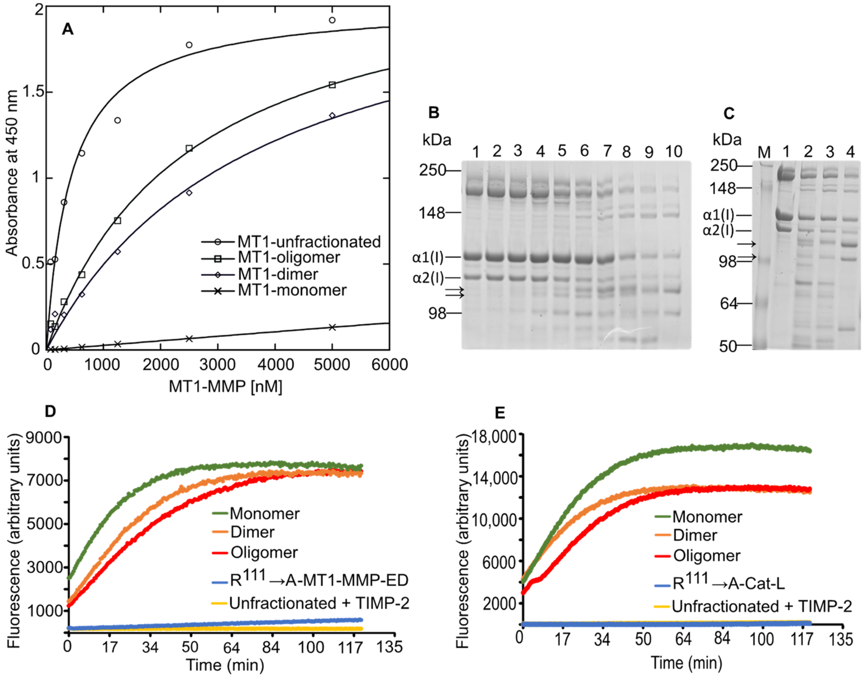 Biomolecules 12 01145 g006 Biomolecules 12 01145 g006