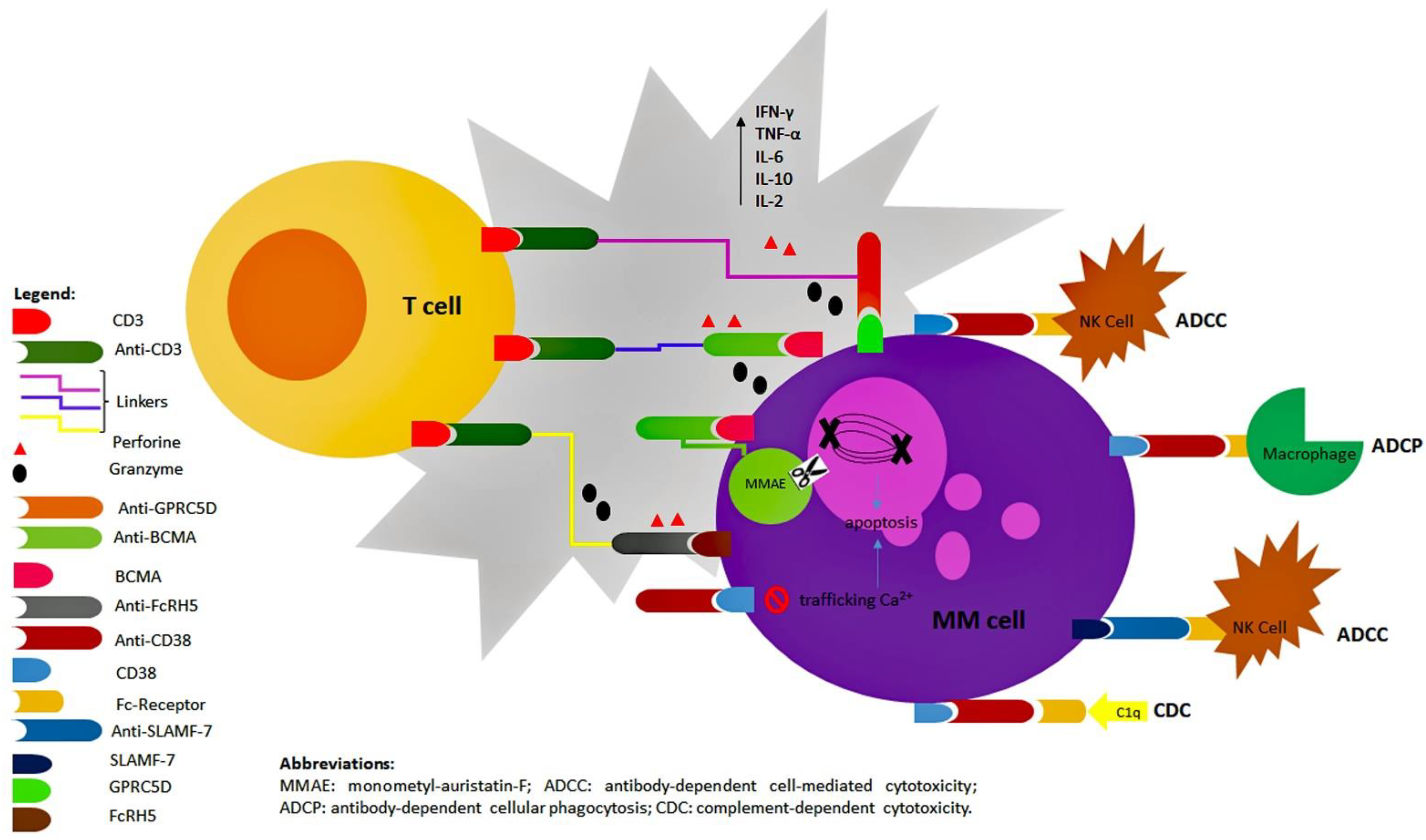 Biomolecules 12 01146 g001 550