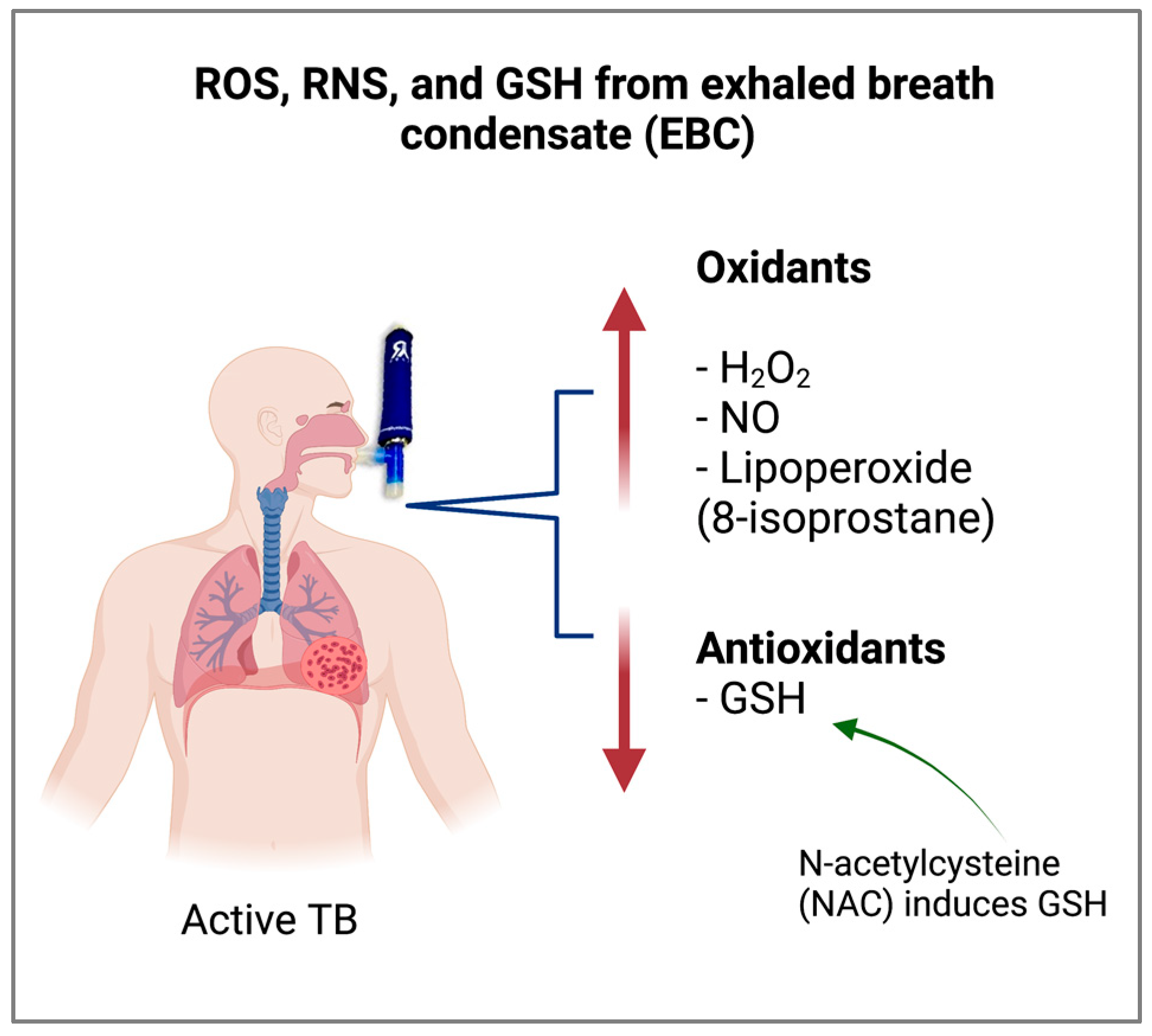 Biomolecules 12 01148 g002 Biomolecules 12 01148 g002