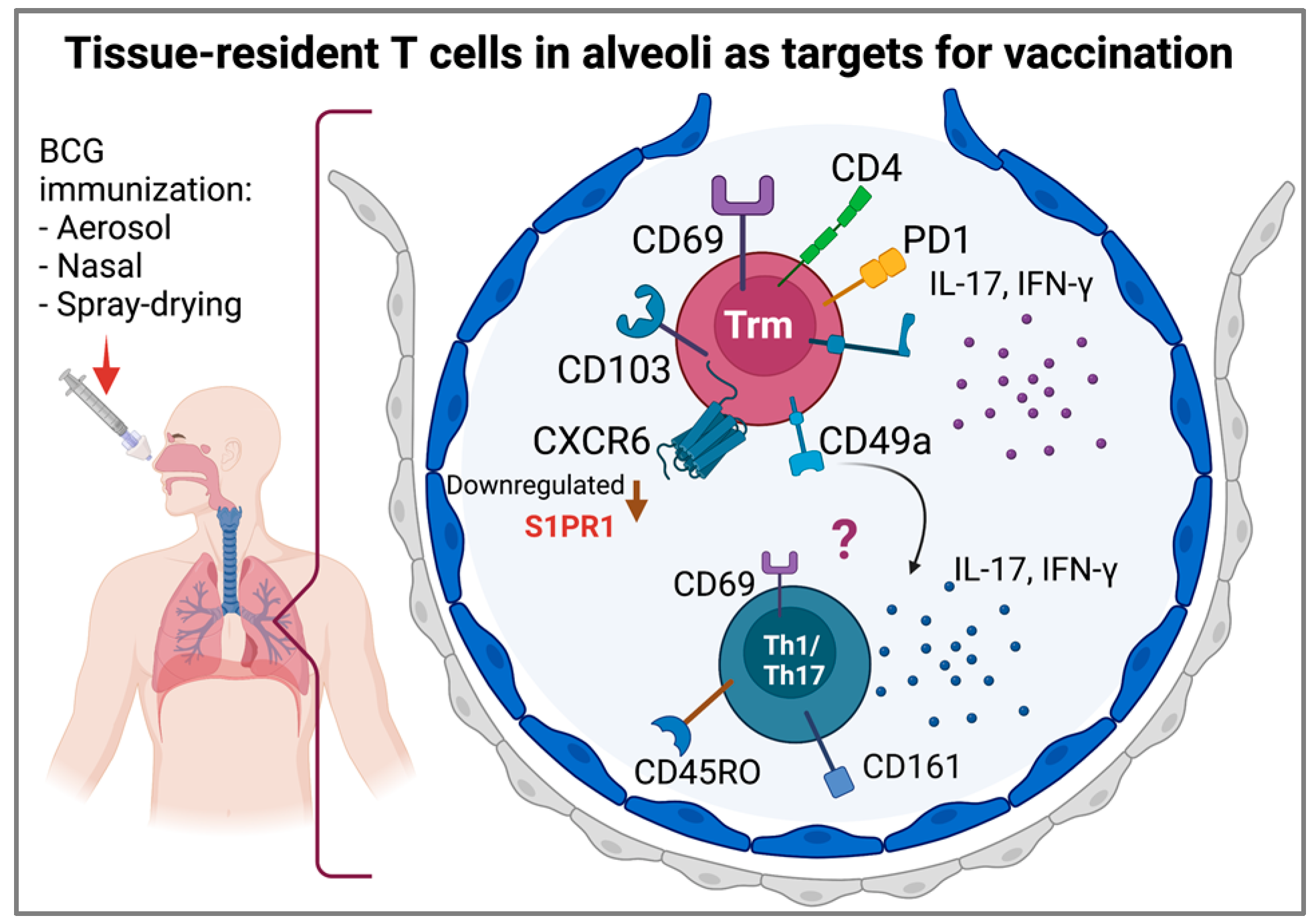 Biomolecules 12 01148 g004 Biomolecules 12 01148 g004