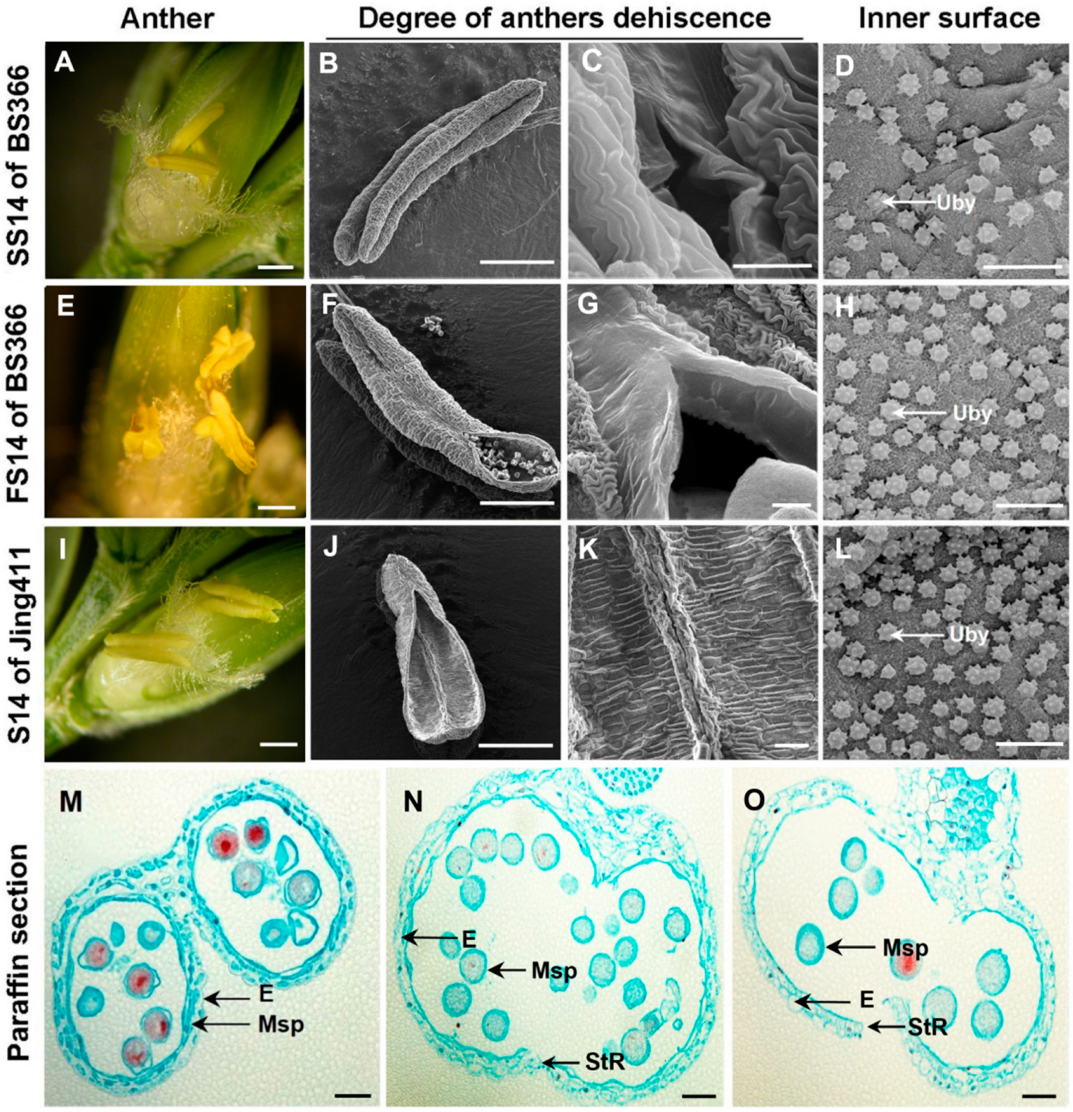 Biomolecules 12 01149 g001