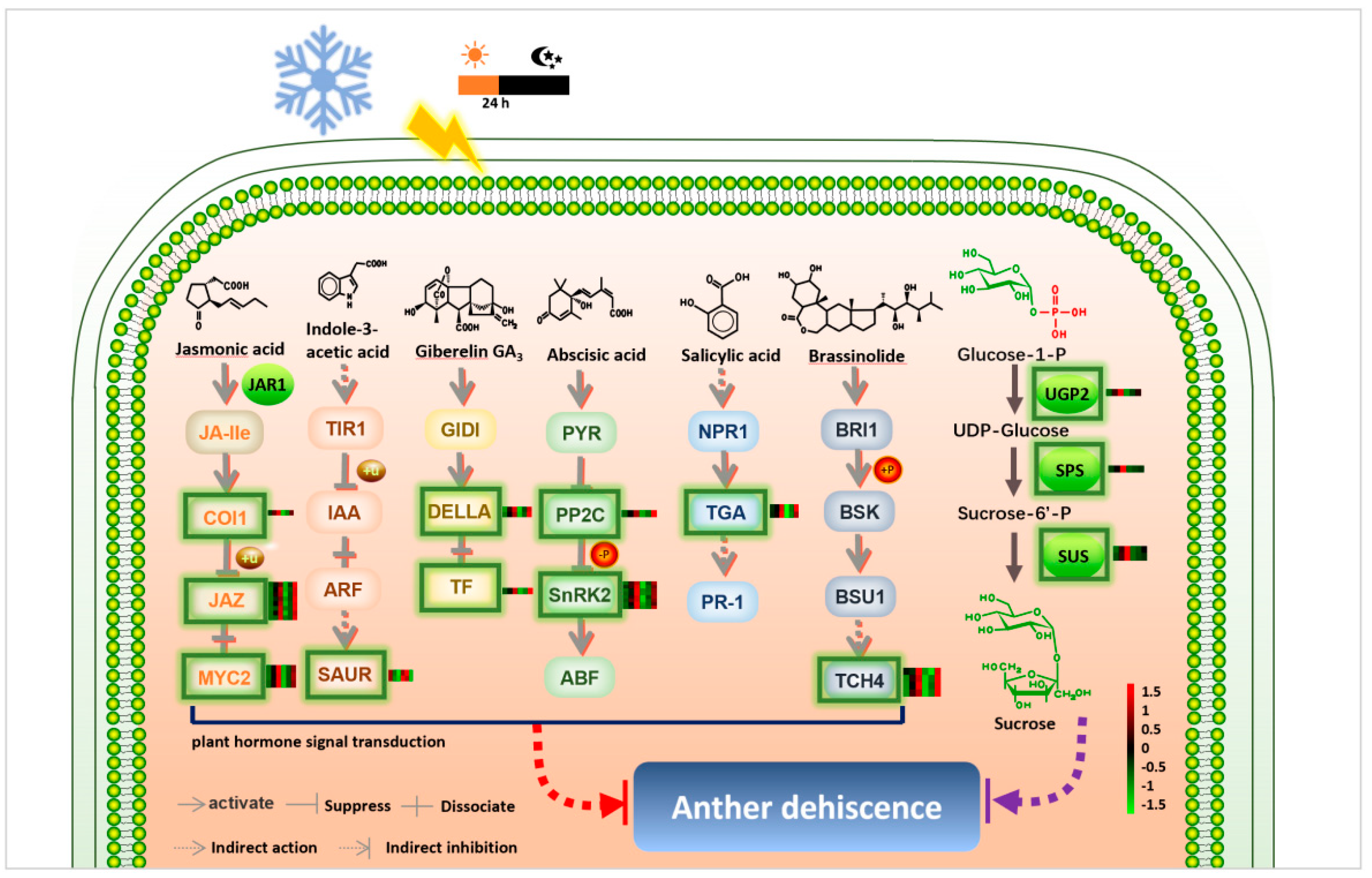Biomolecules 12 01149 g006