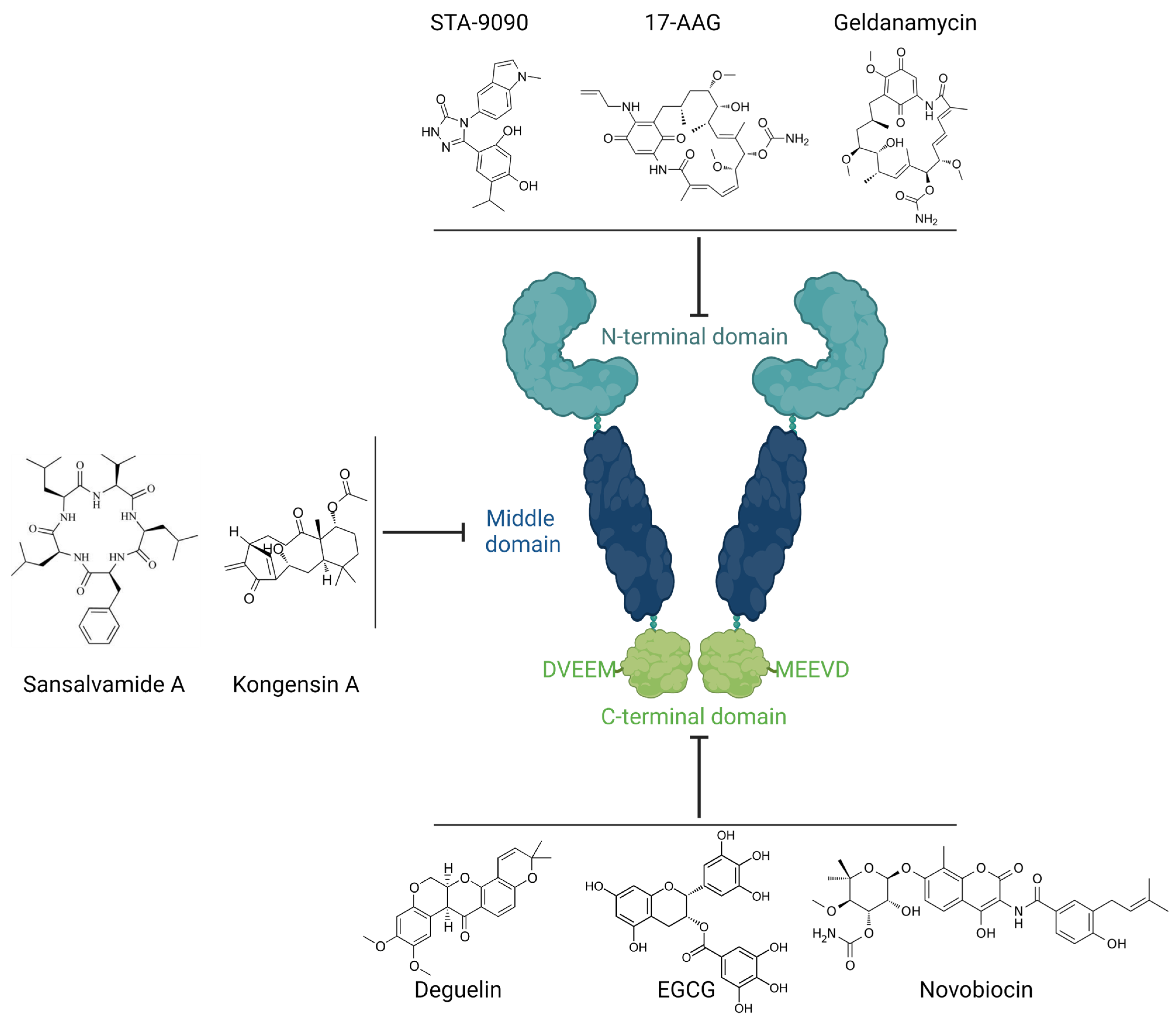 Biomolecules 12 01153 g001