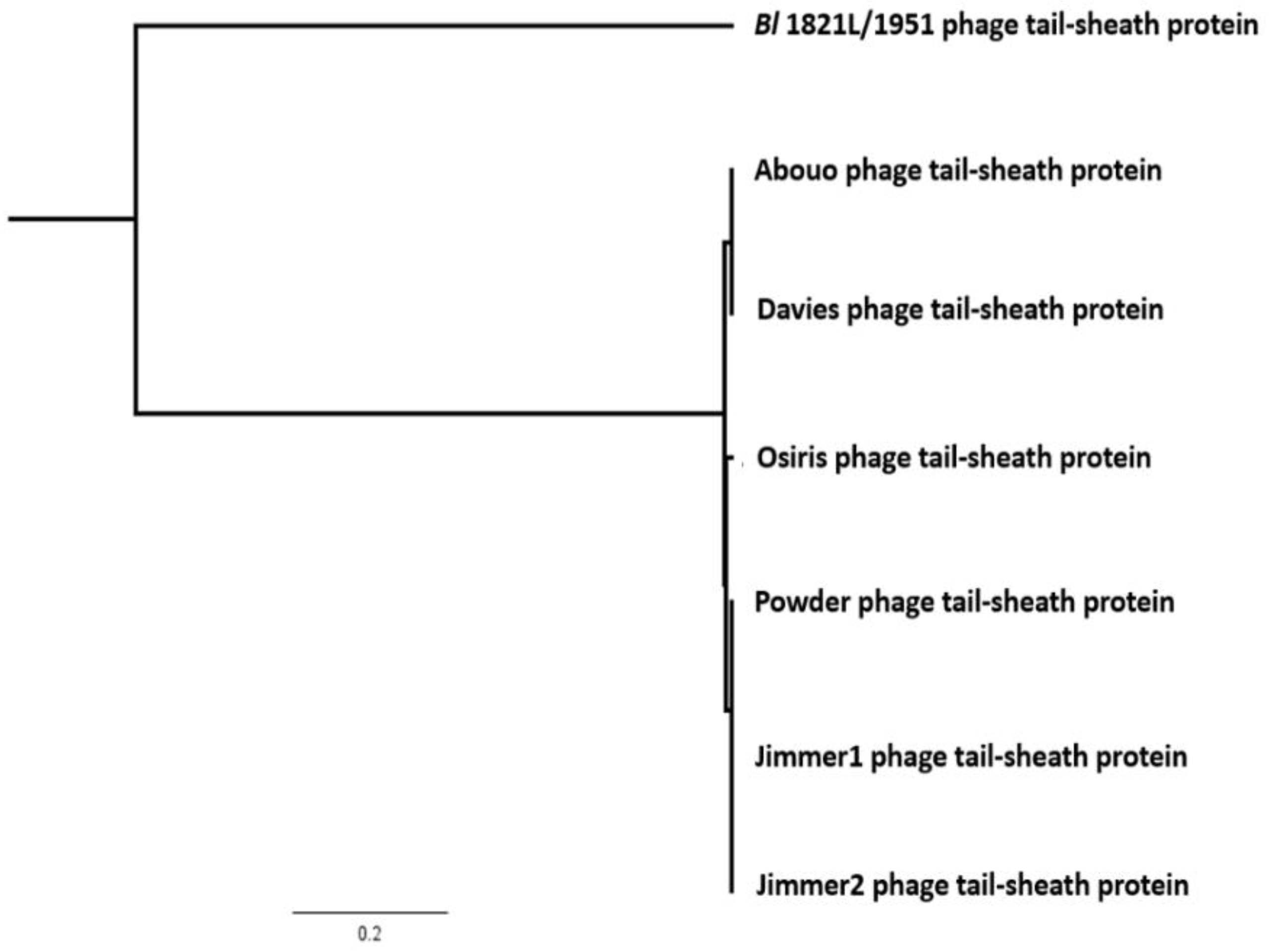 Biomolecules 12 01154 g006 Biomolecules 12 01154 g006