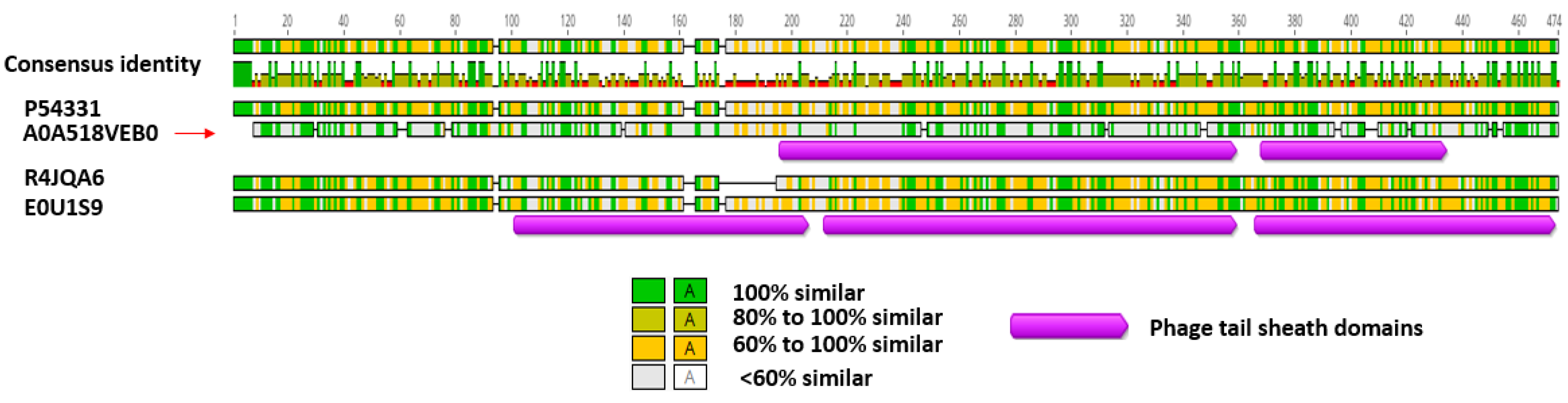Biomolecules 12 01154 g009 Biomolecules 12 01154 g009