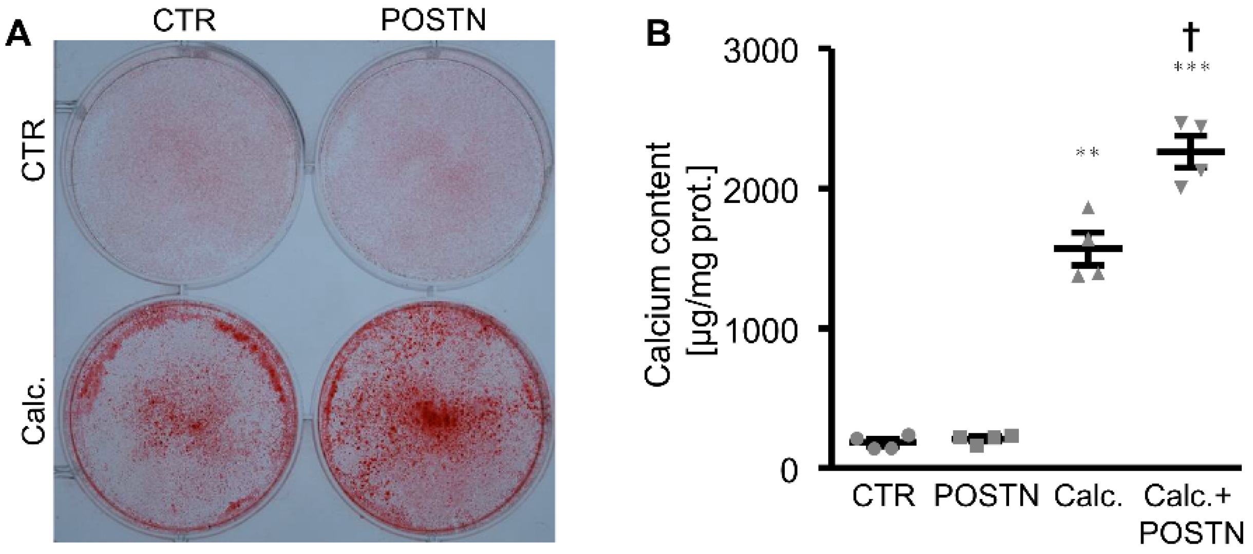 Biomolecules 12 01157 g001 Biomolecules 12 01157 g001