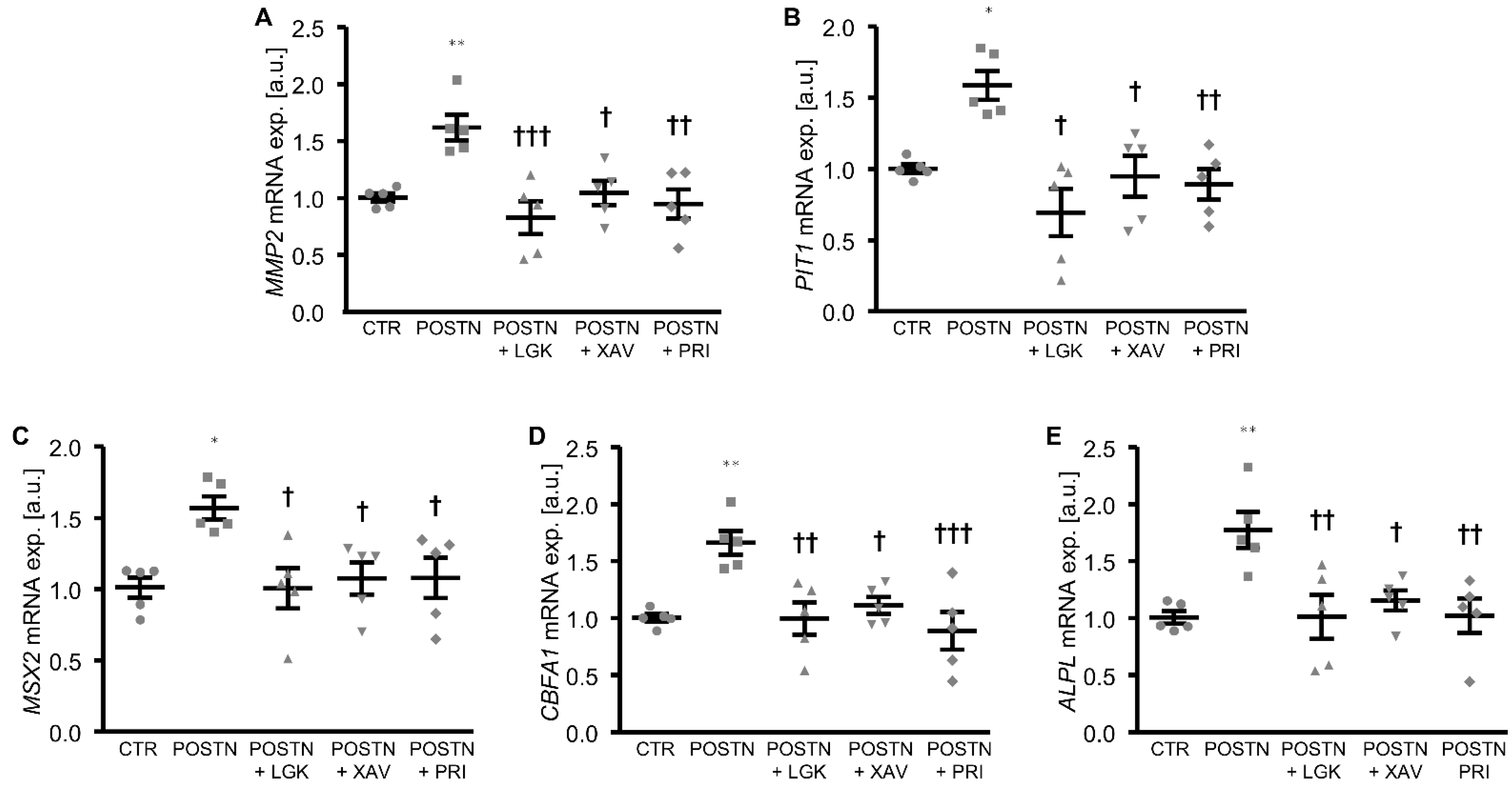 Biomolecules 12 01157 g004 Biomolecules 12 01157 g004