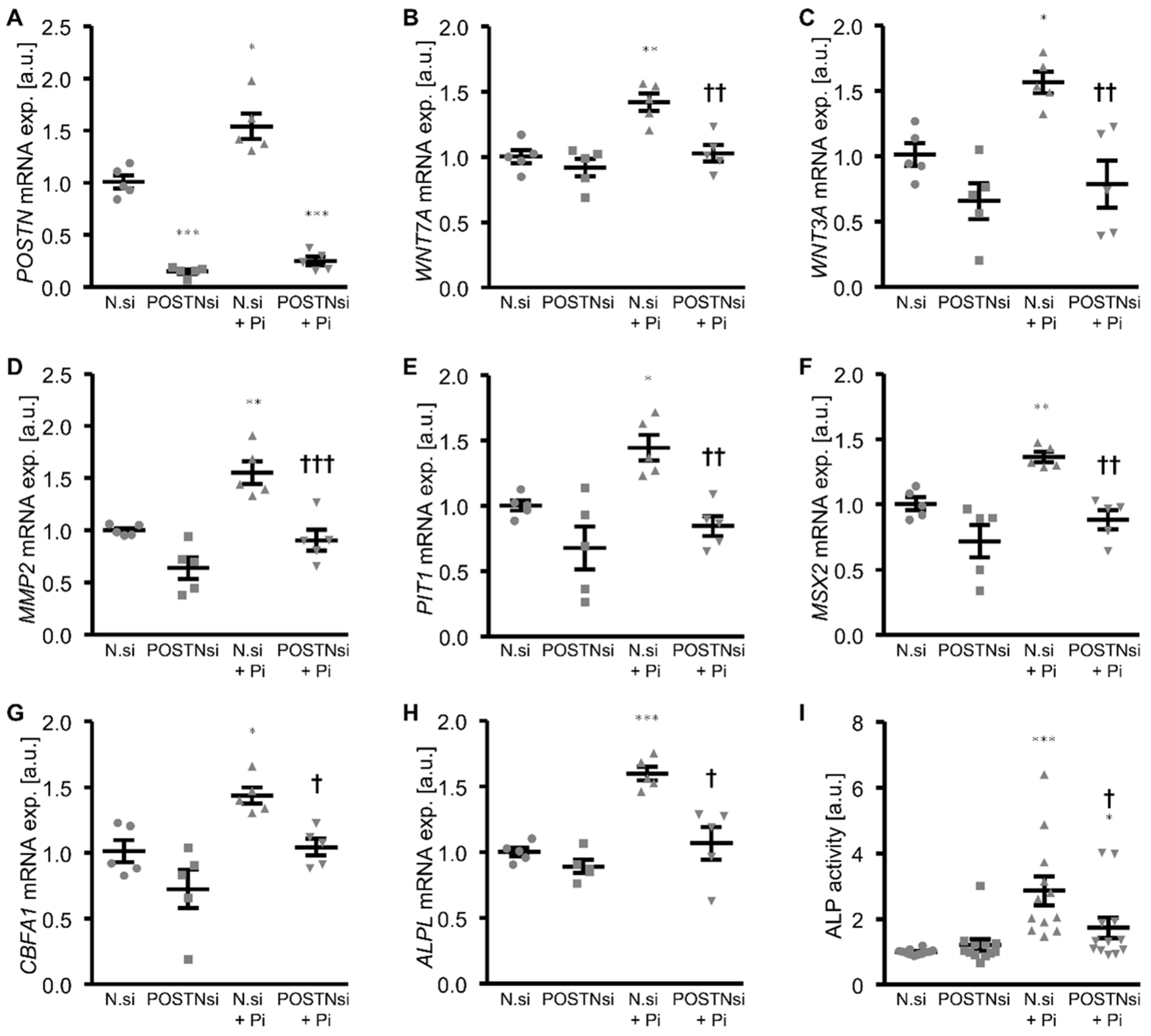 Biomolecules 12 01157 g006 Biomolecules 12 01157 g006