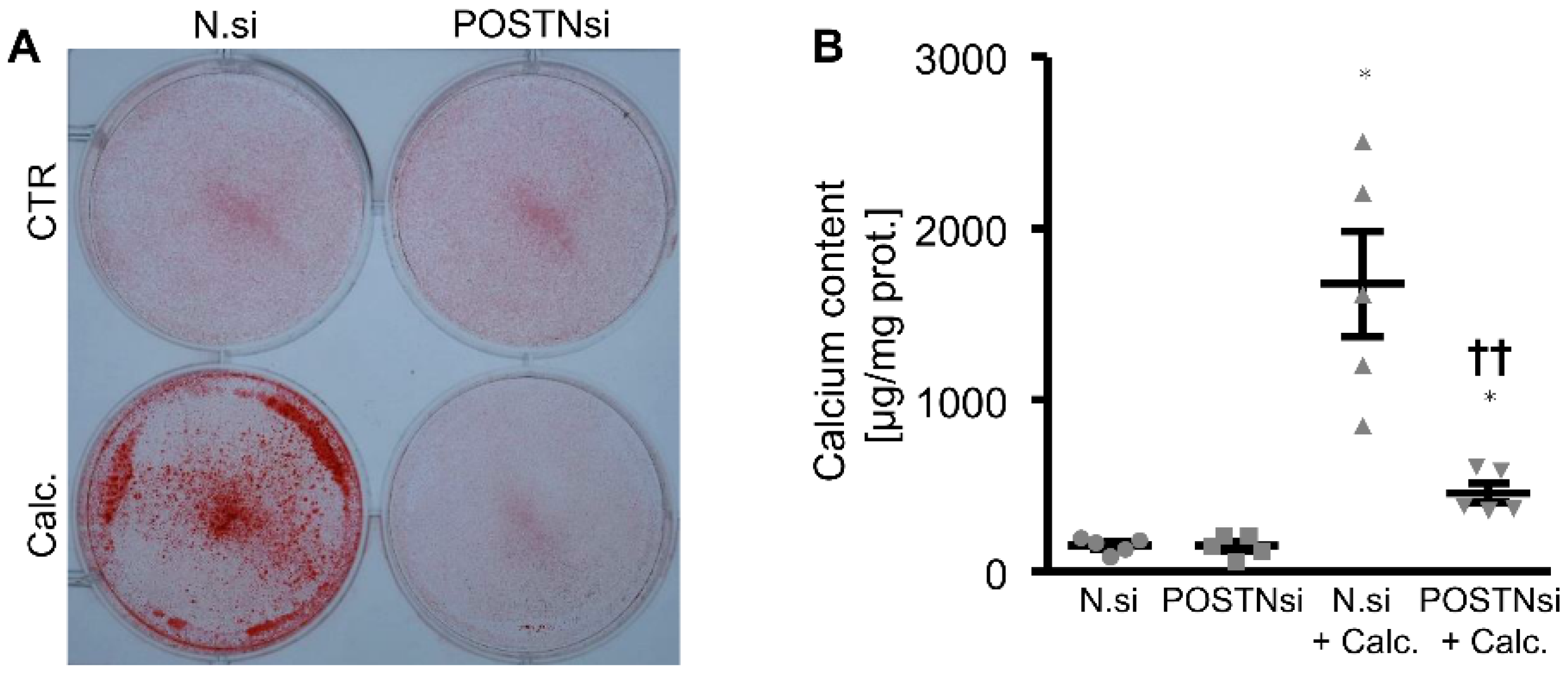 Biomolecules 12 01157 g007 Biomolecules 12 01157 g007