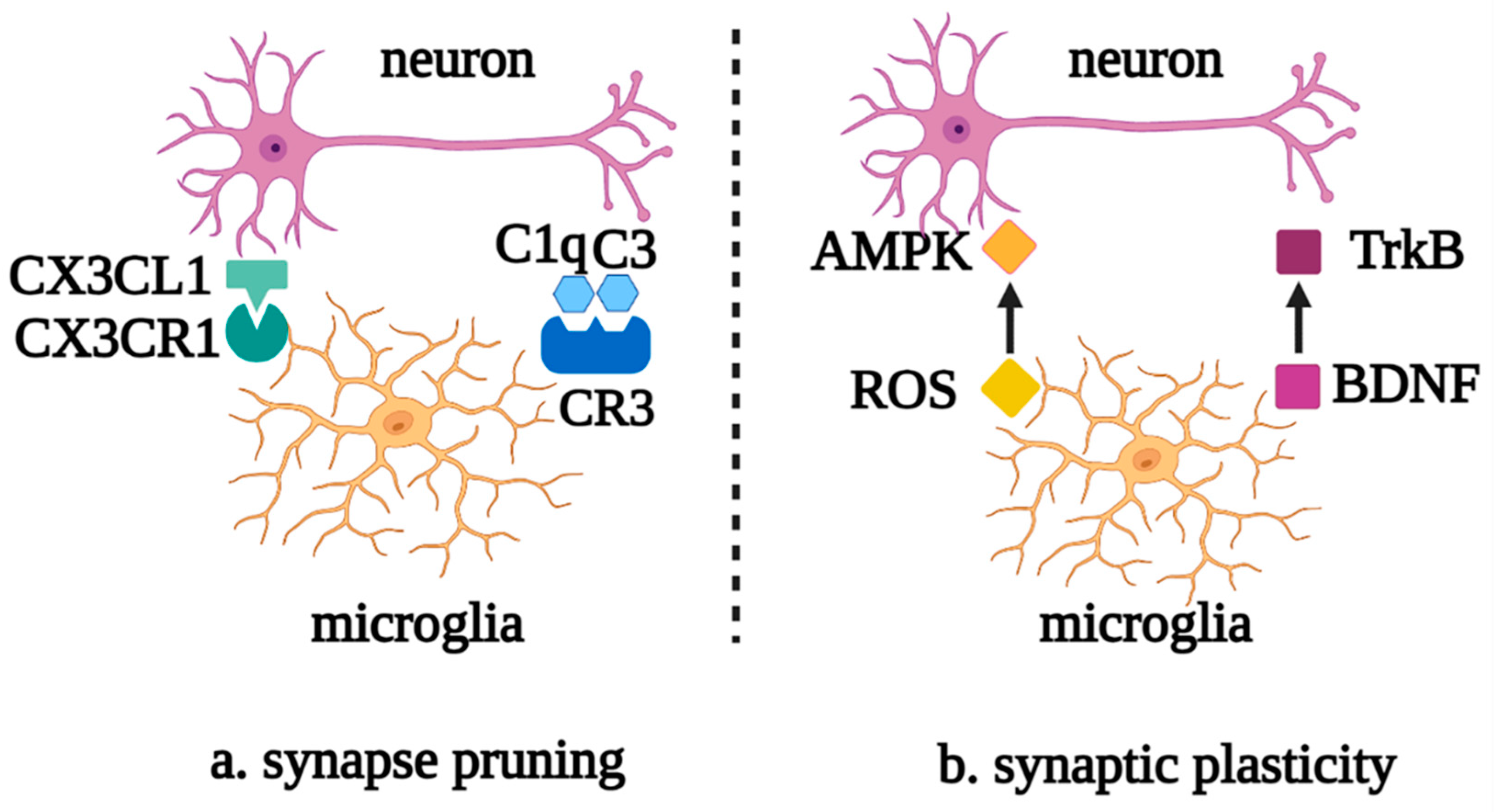 Biomolecules 12 01158 g003