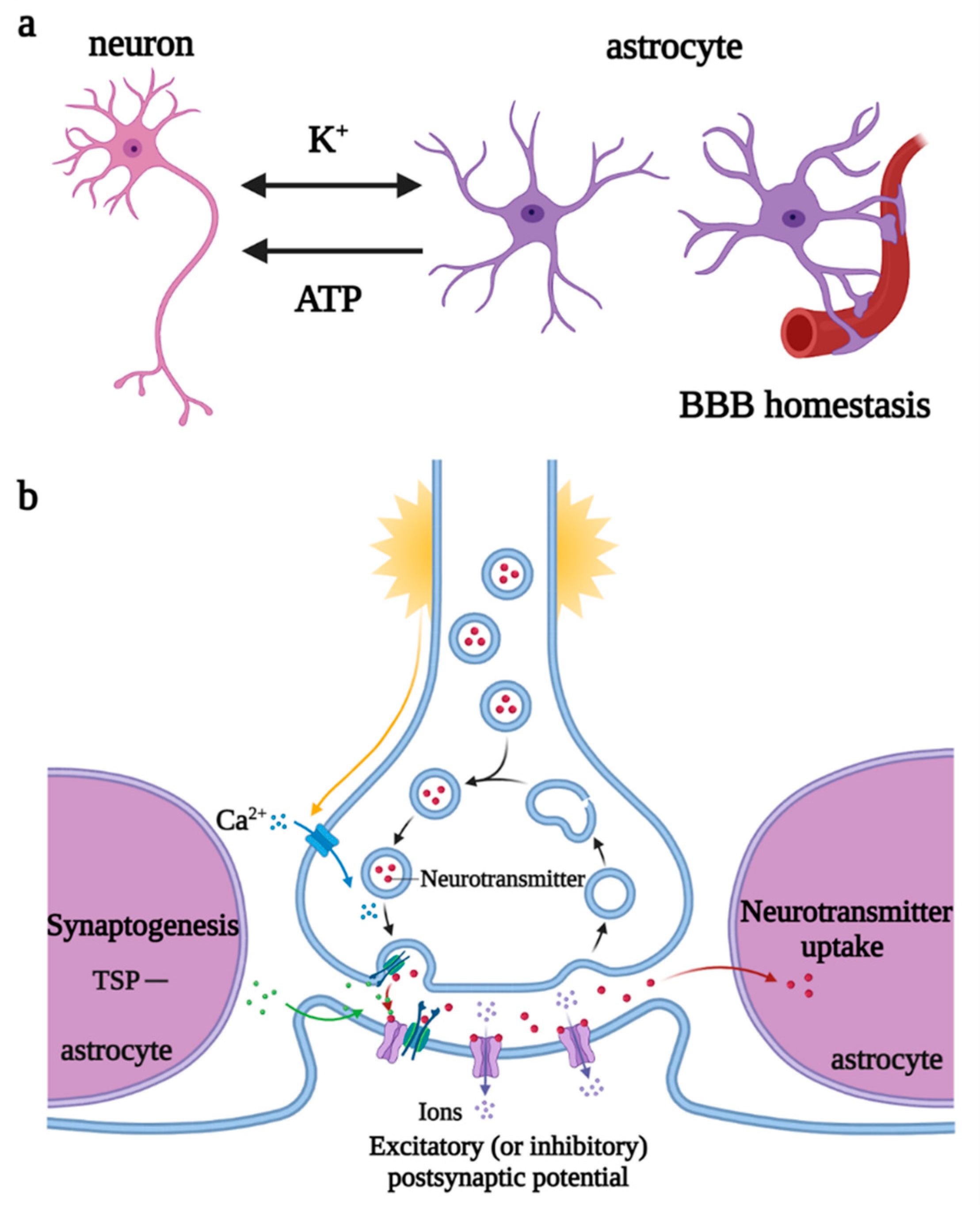 Biomolecules 12 01158 g005