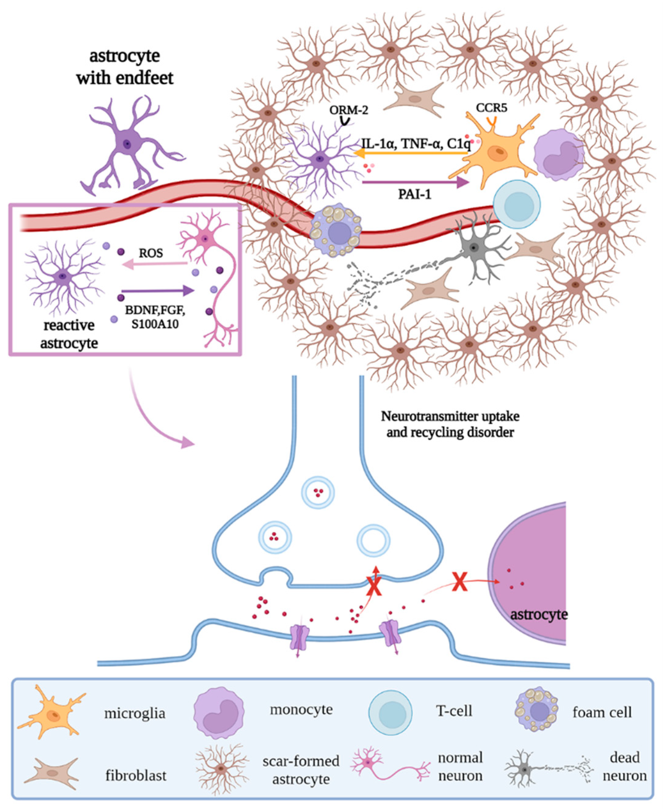 Biomolecules 12 01158 g006