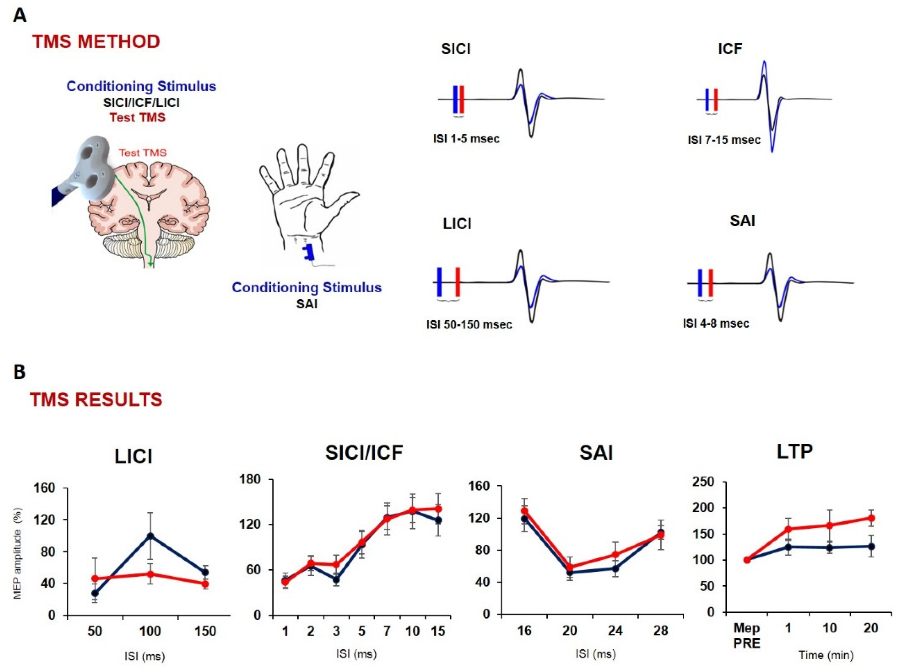 Biomolecules 12 01161 g002 Biomolecules 12 01161 g002
