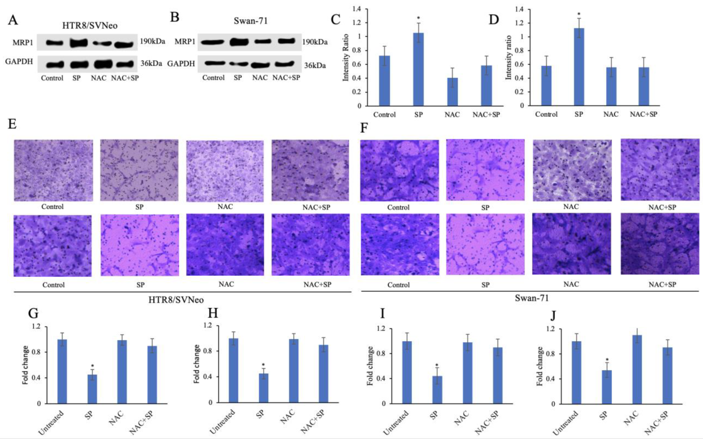 Biomolecules 12 01162 g004
