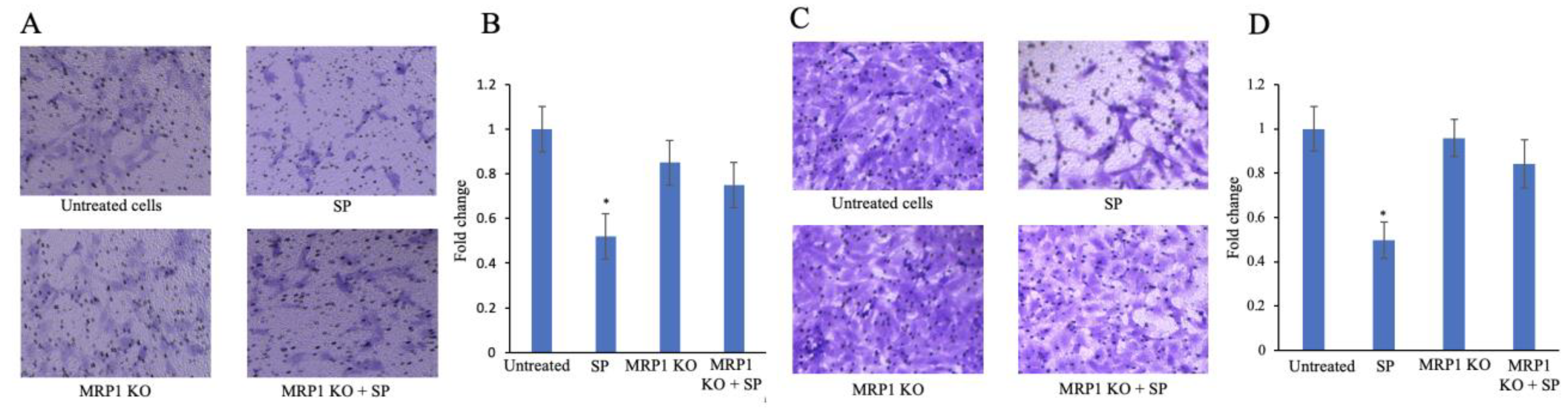 Biomolecules 12 01162 g006