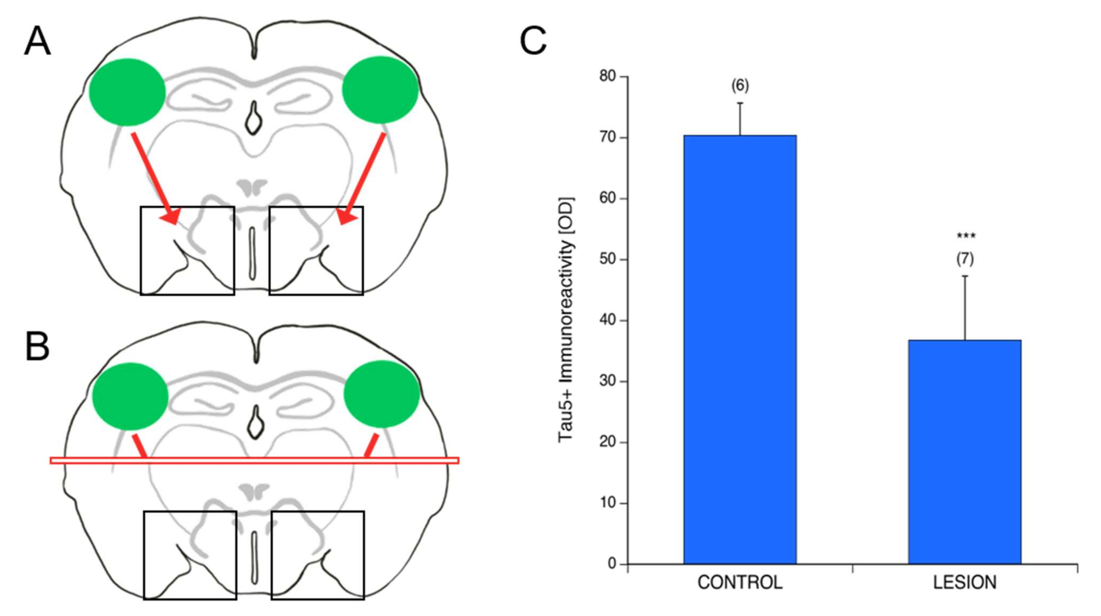 Biomolecules 12 01164 g006 550