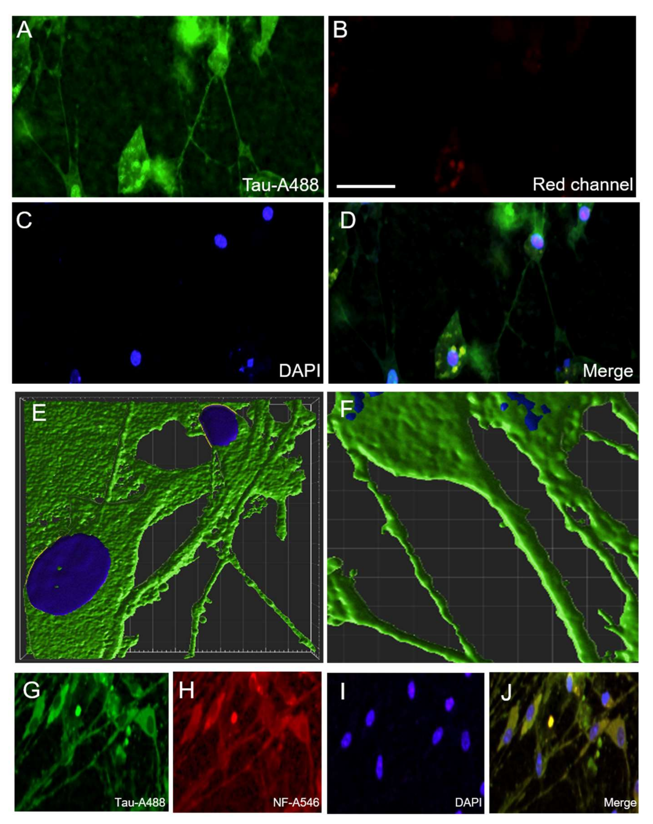 Biomolecules 12 01164 g007 550