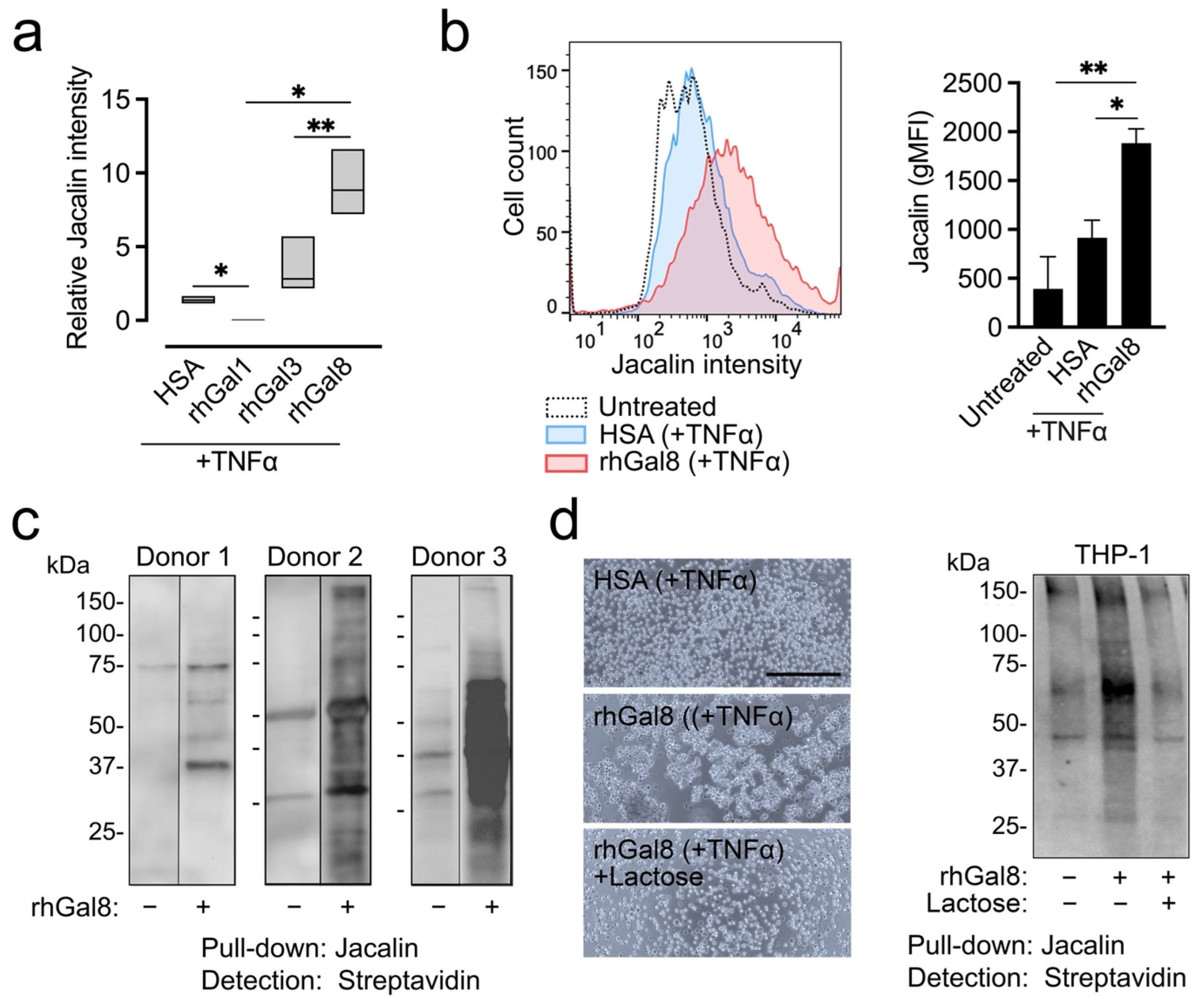 Biomolecules 12 01168 g002