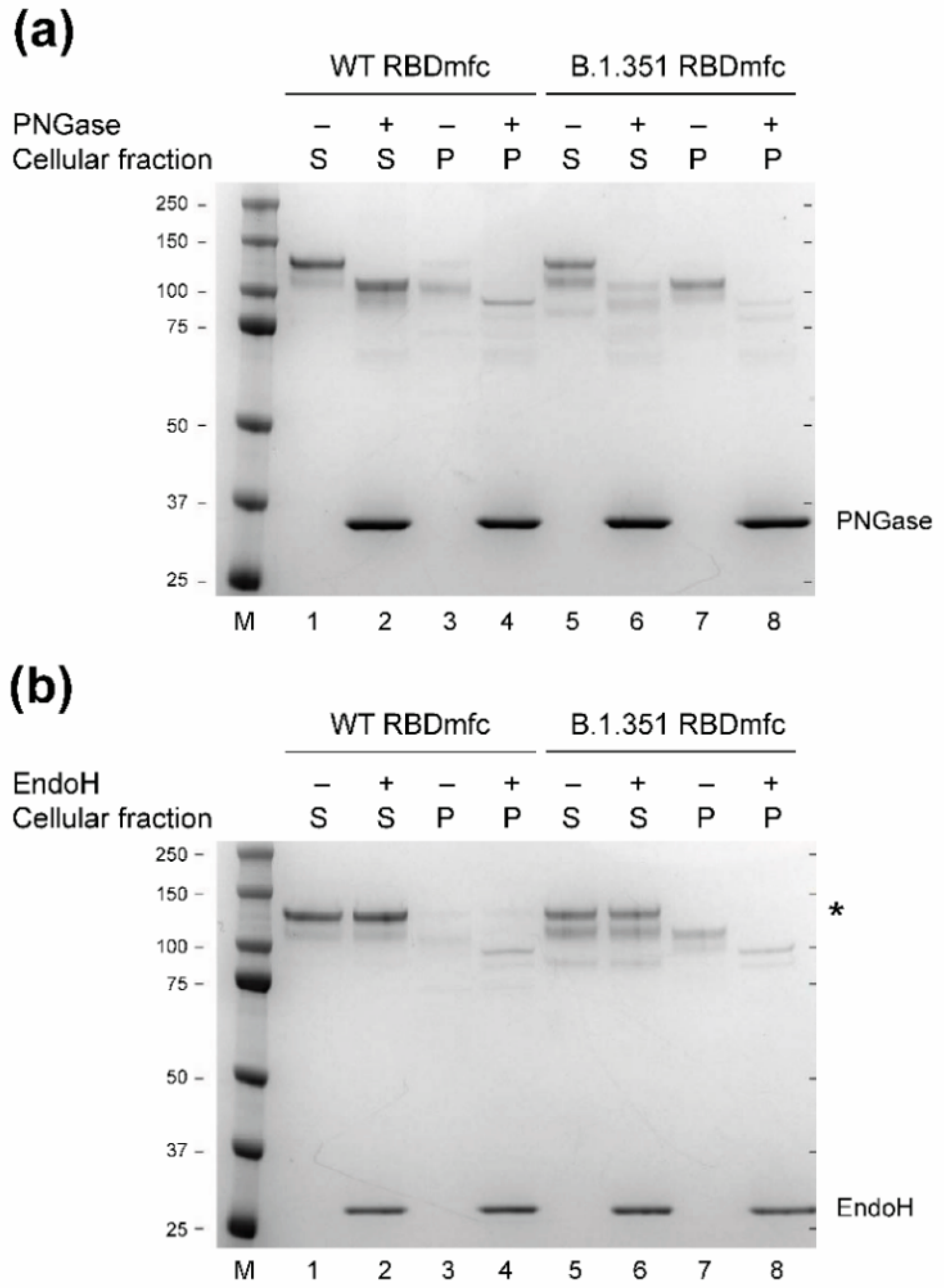 Biomolecules 12 01170 g005