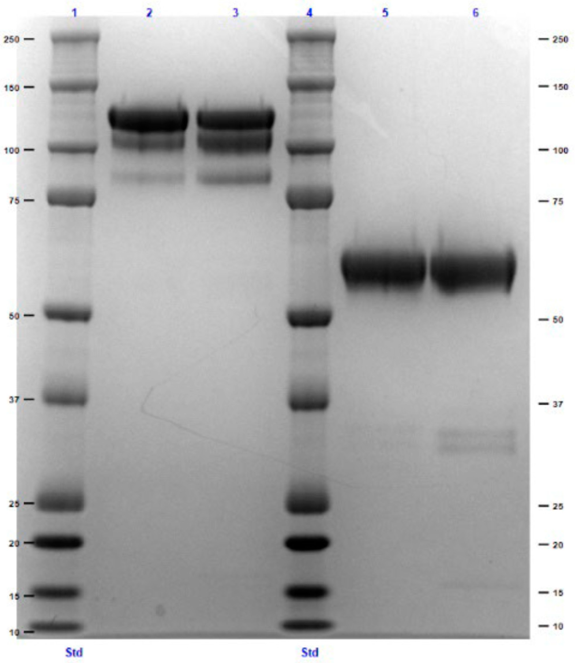 Biomolecules 12 01170 g0a1