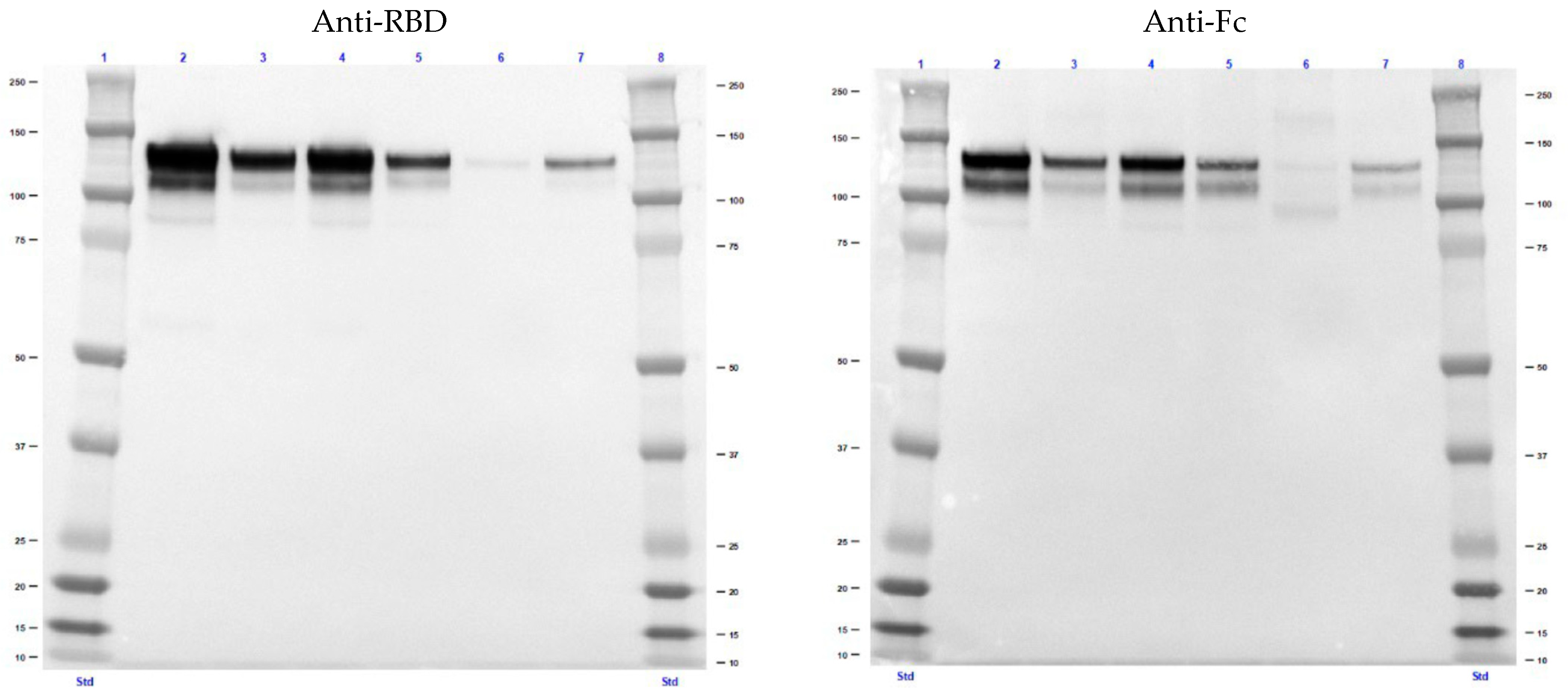 Biomolecules 12 01170 g0a3