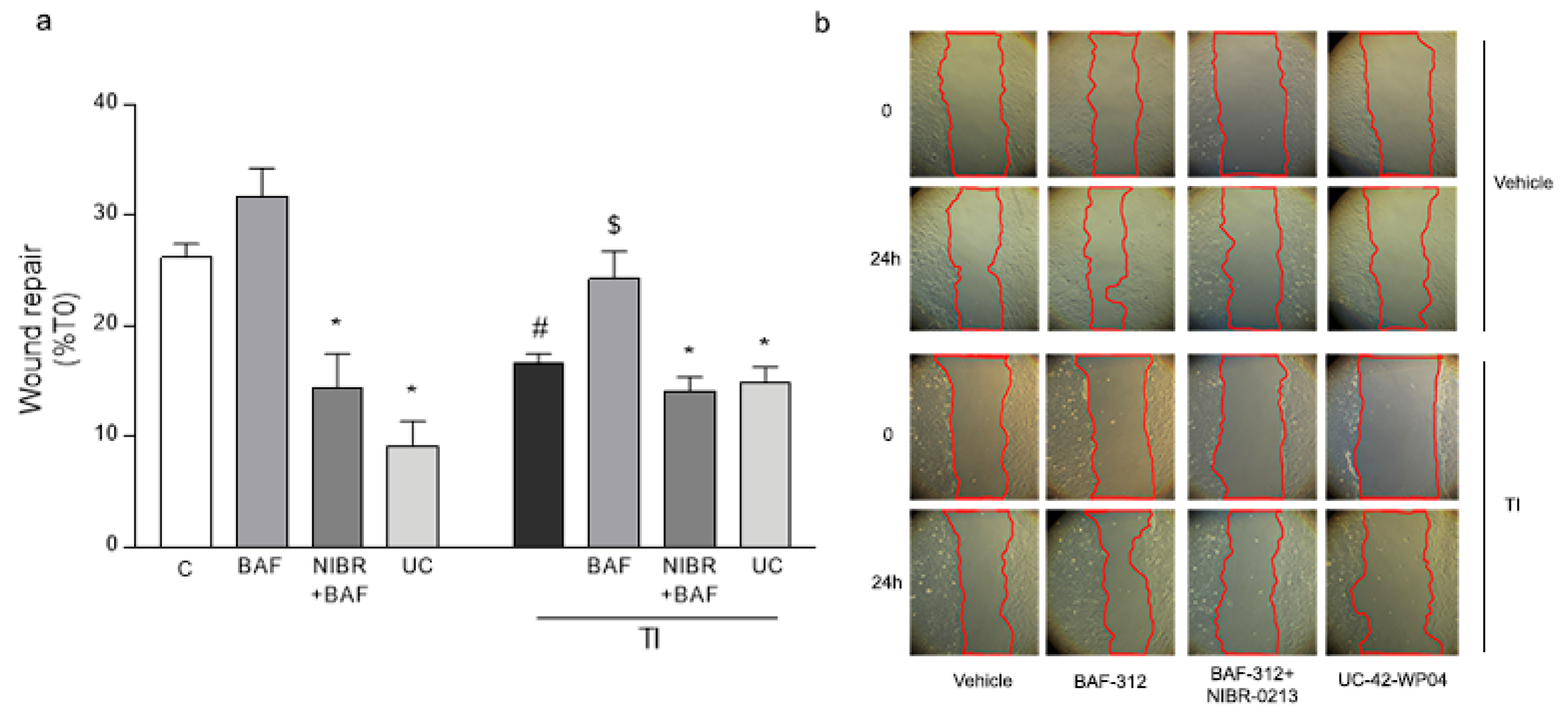 Biomolecules 12 01174 g001