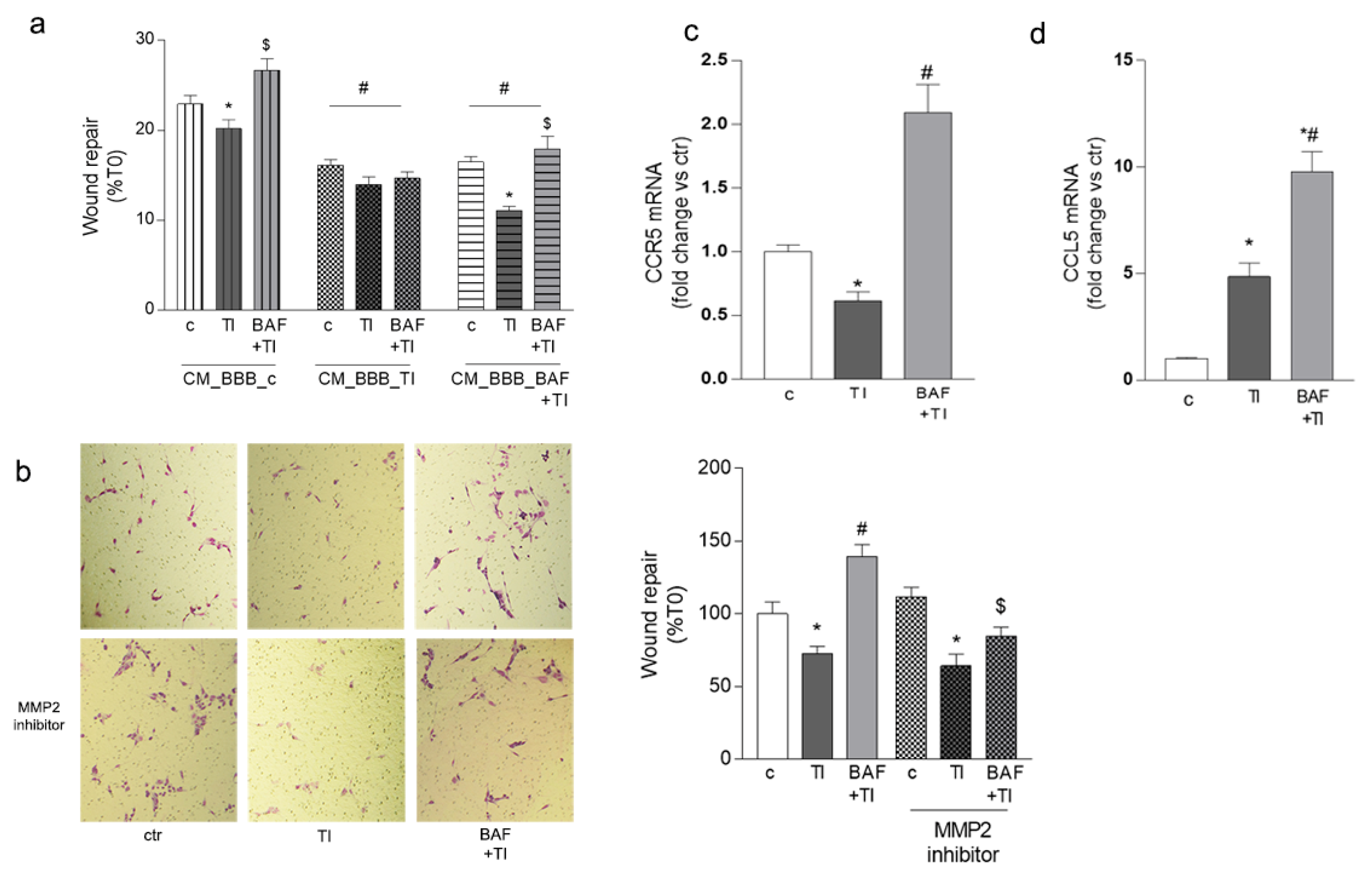 Biomolecules 12 01174 g003