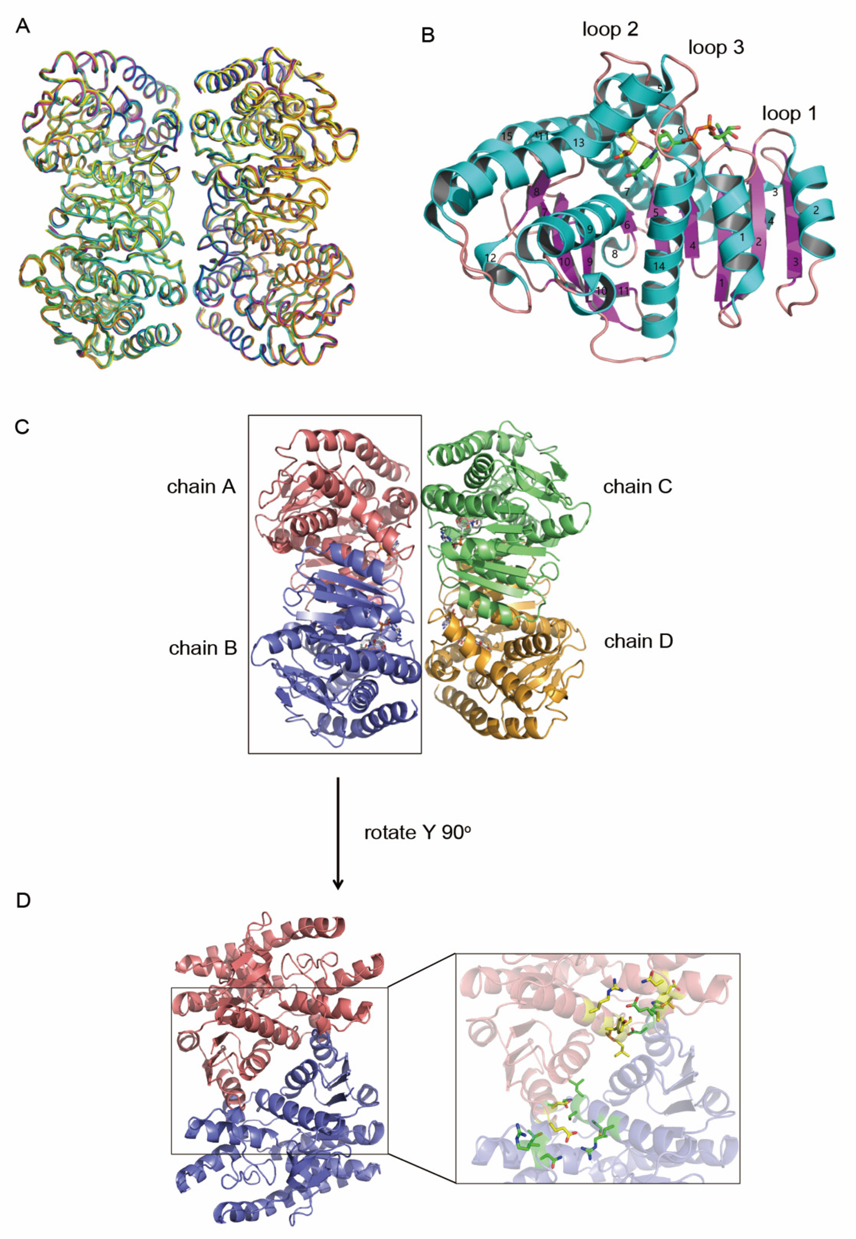 Biomolecules 12 01175 g001 550