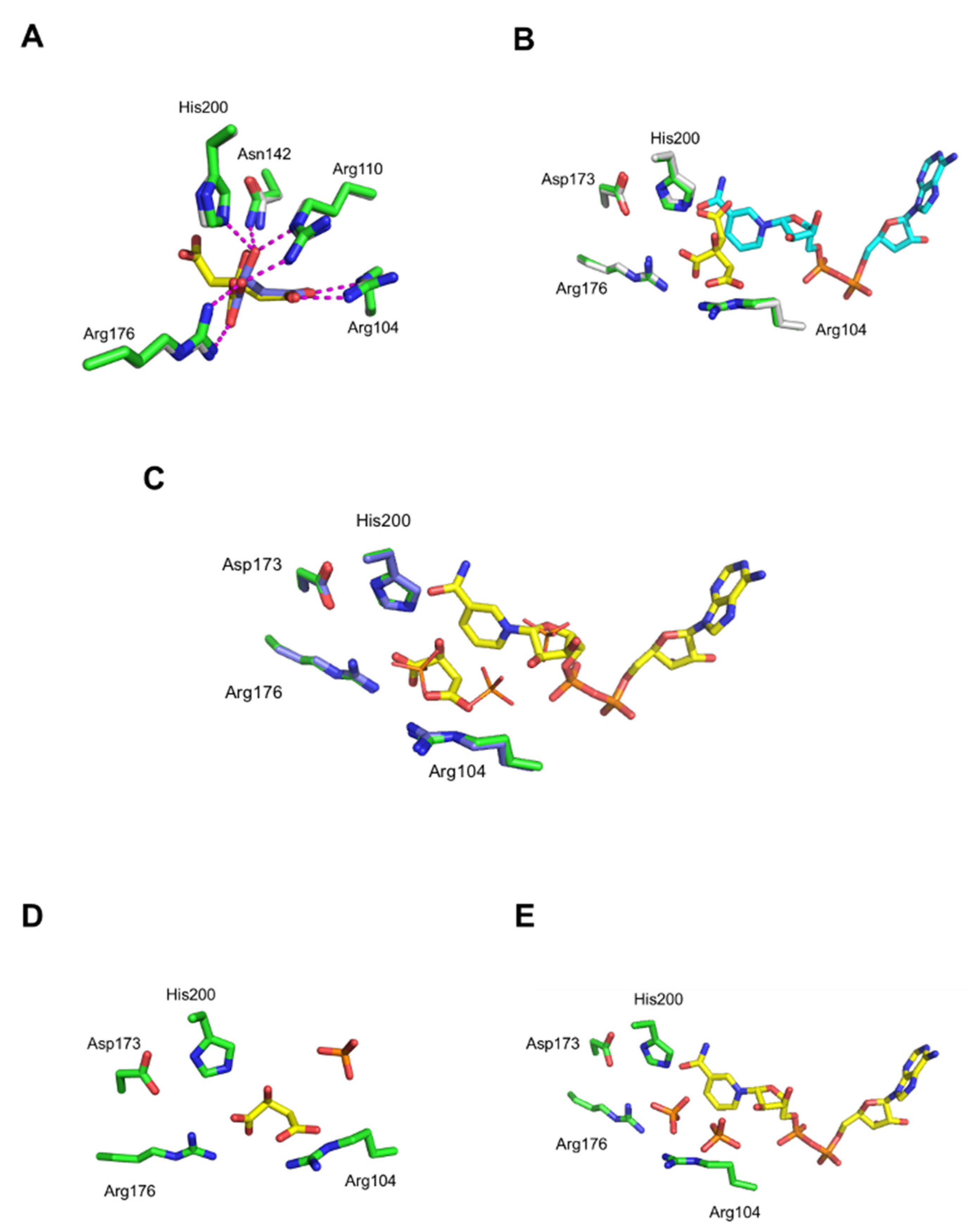 Biomolecules 12 01175 g002 550