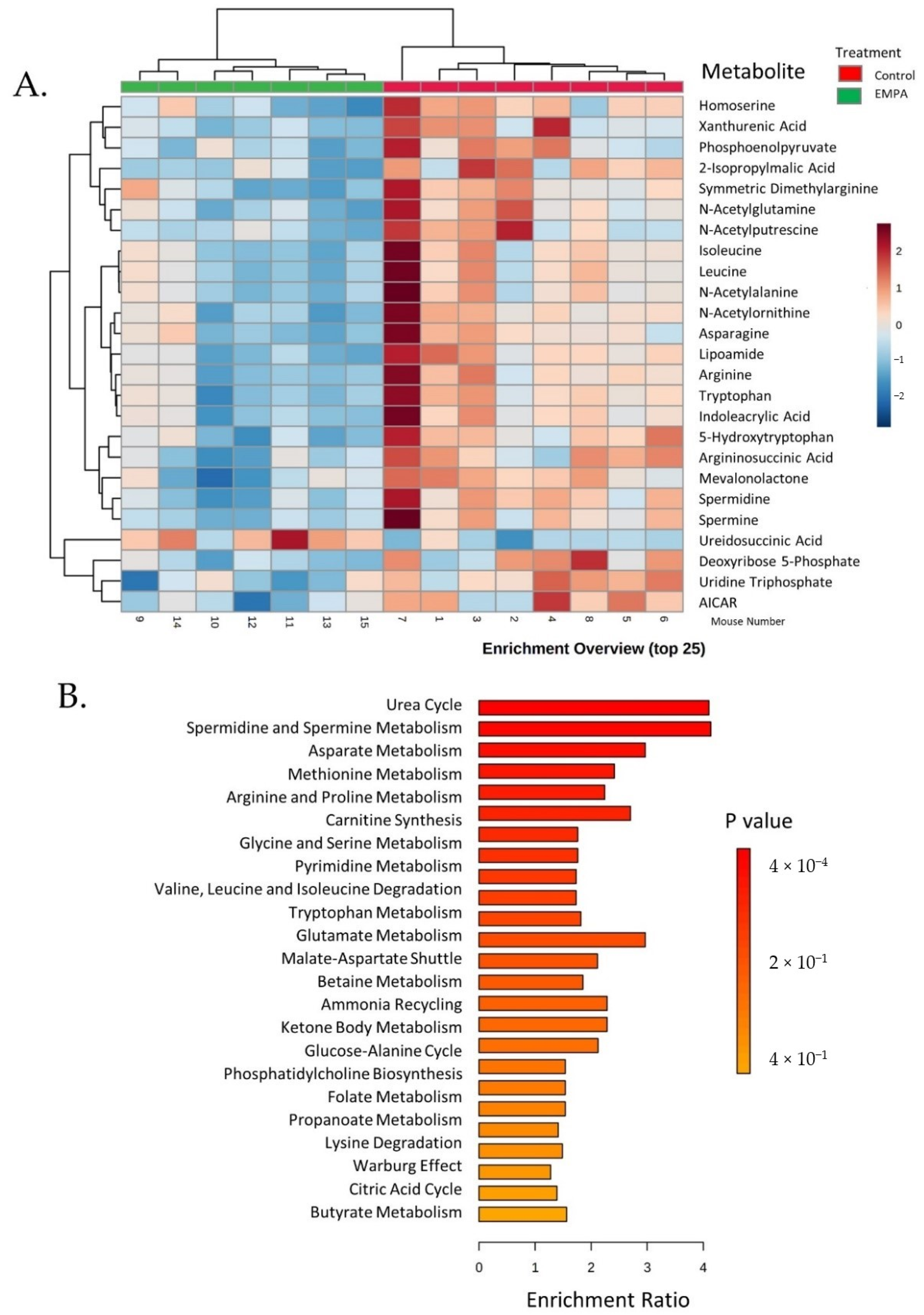 Biomolecules 12 01176 g004