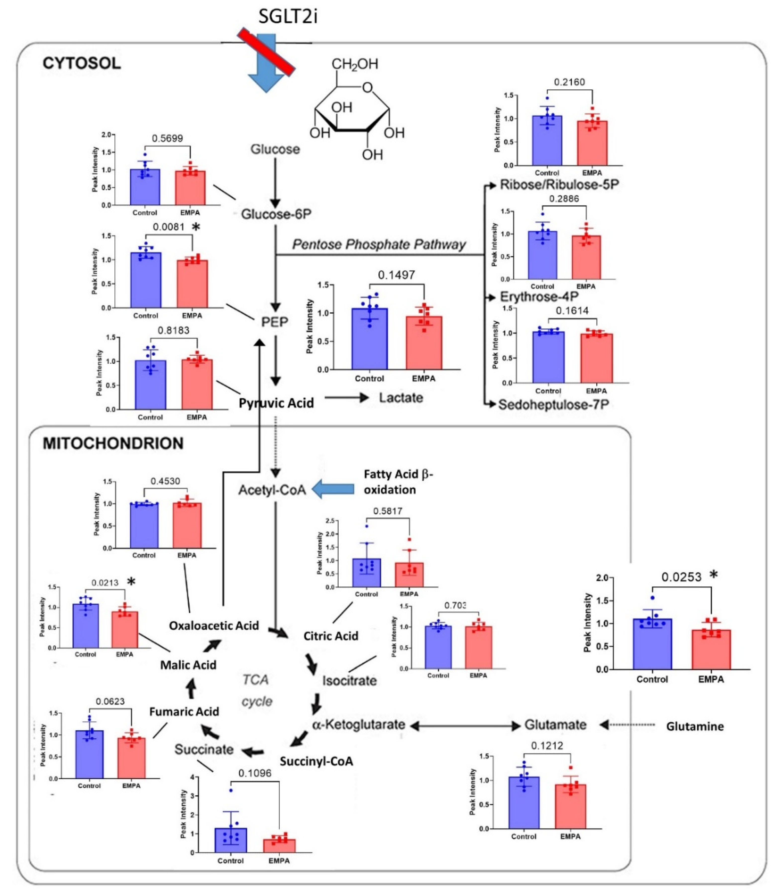 Biomolecules 12 01176 g005