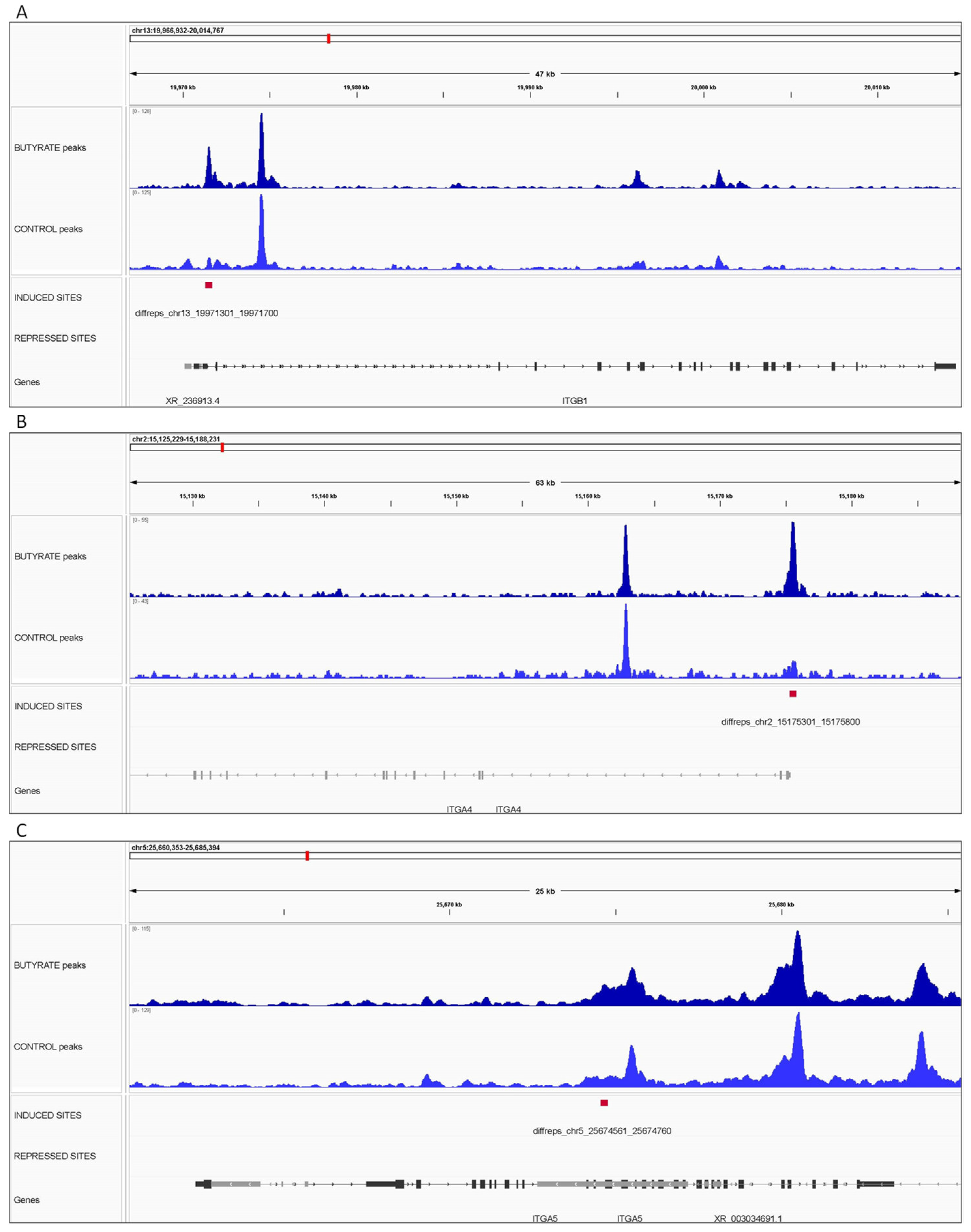 Biomolecules 12 01177 g006