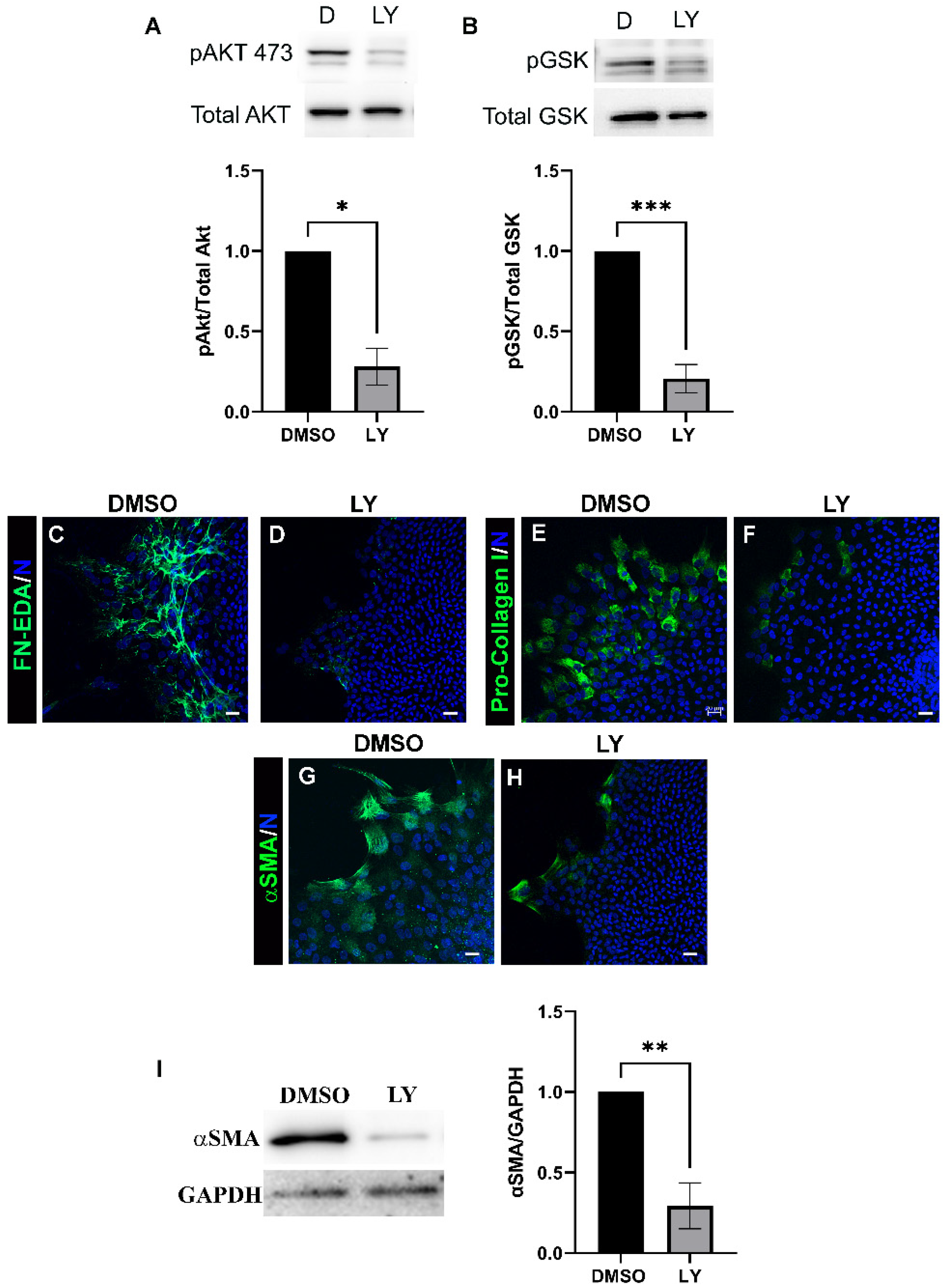 Biomolecules 12 01181 g001