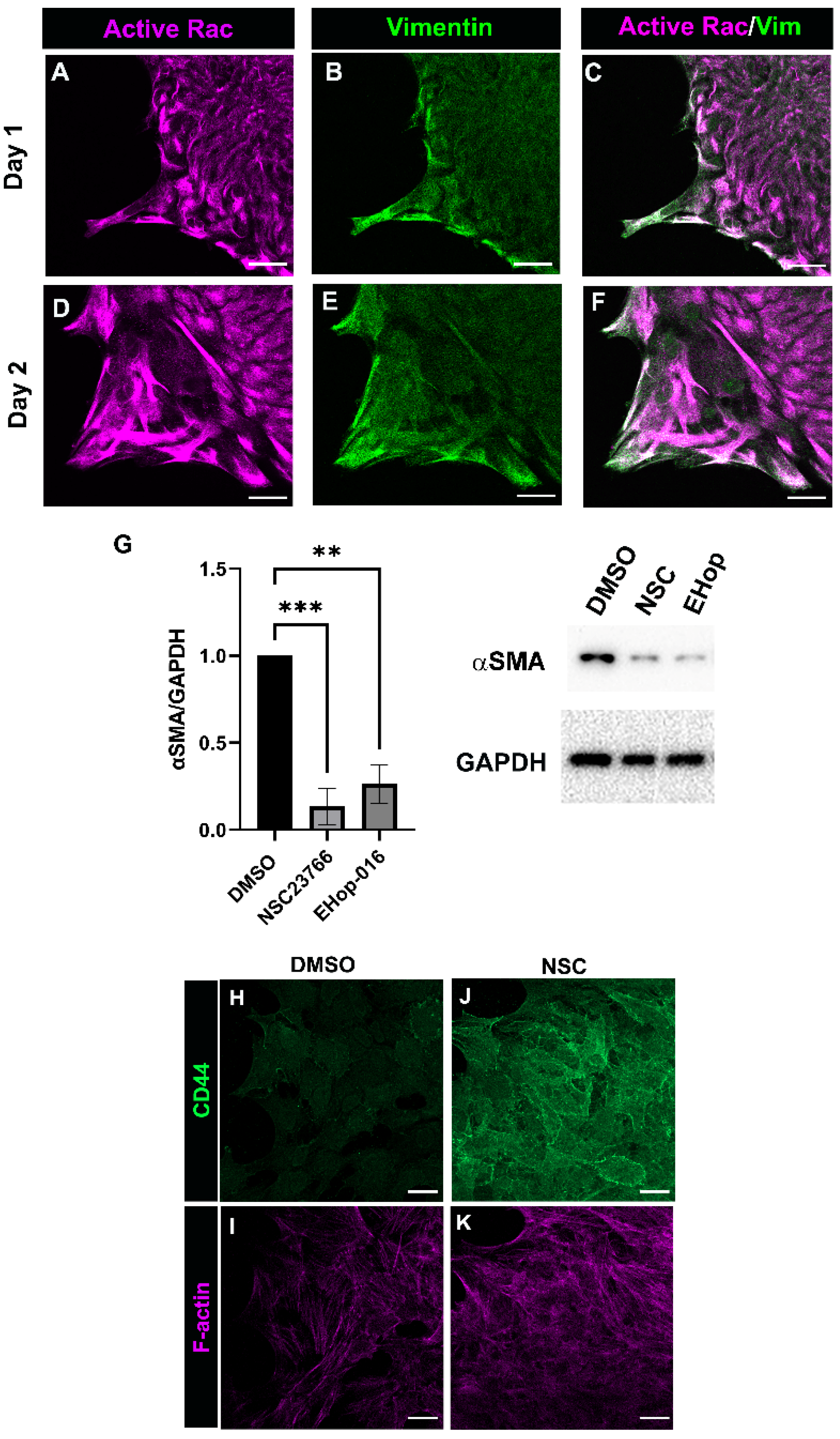 Biomolecules 12 01181 g004